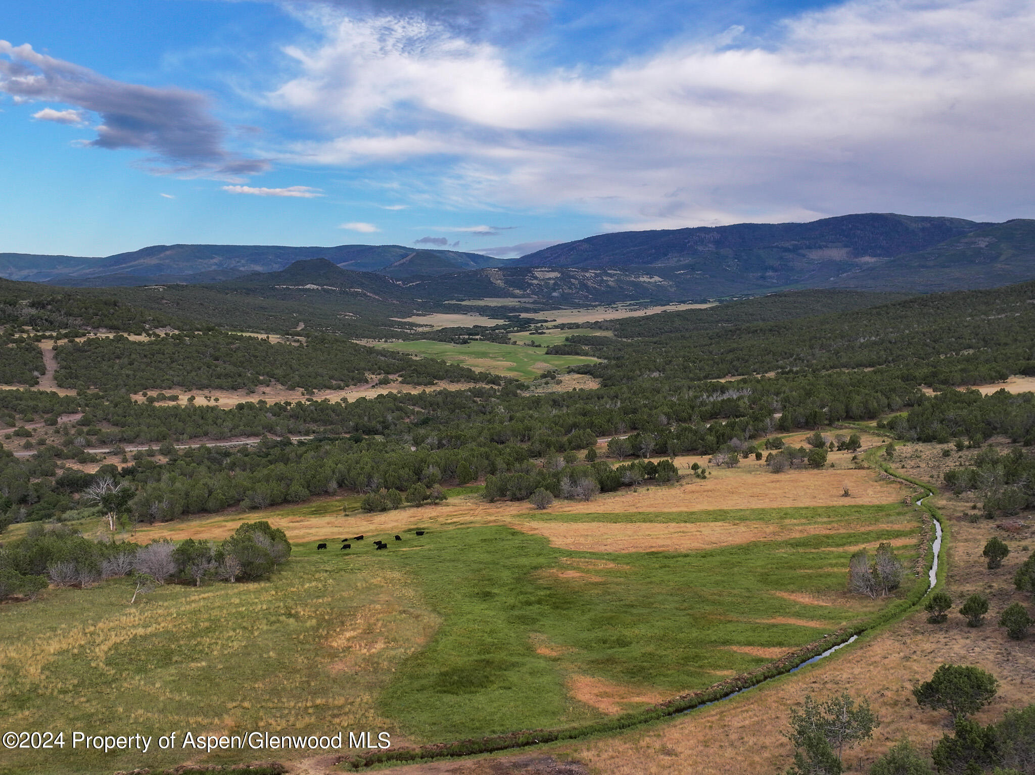 56106 Me Road Collbran CO 81624