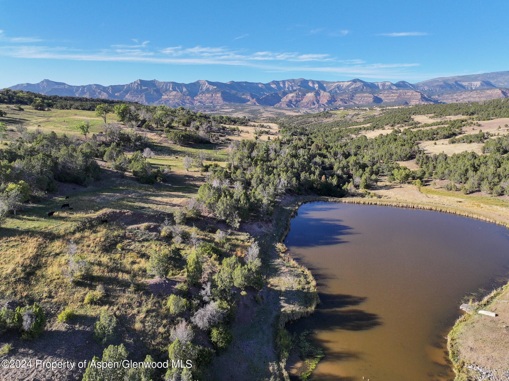 56106 Me Road Collbran CO 81624