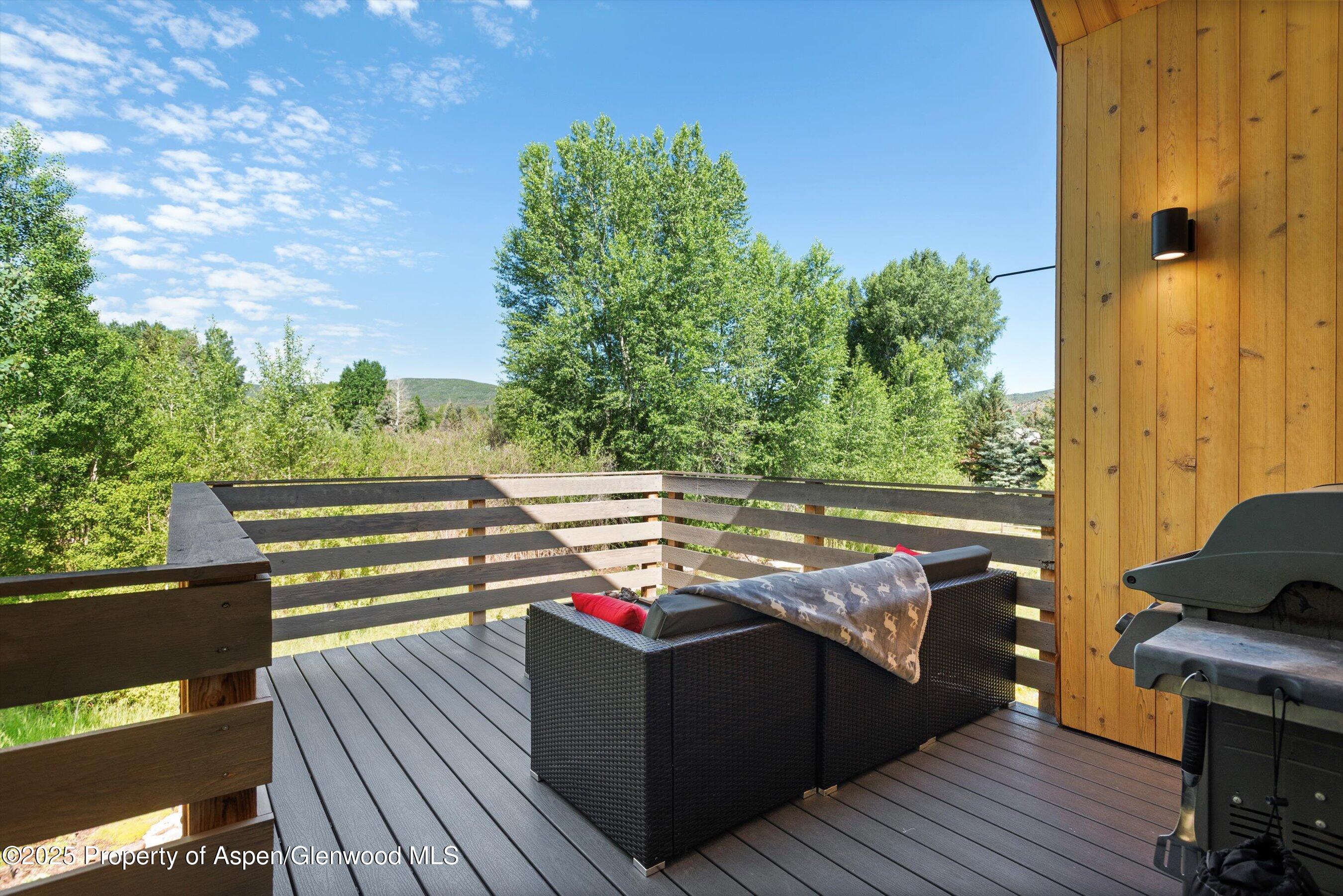 45 Little Elk Creek Avenue Snowmass CO 81654