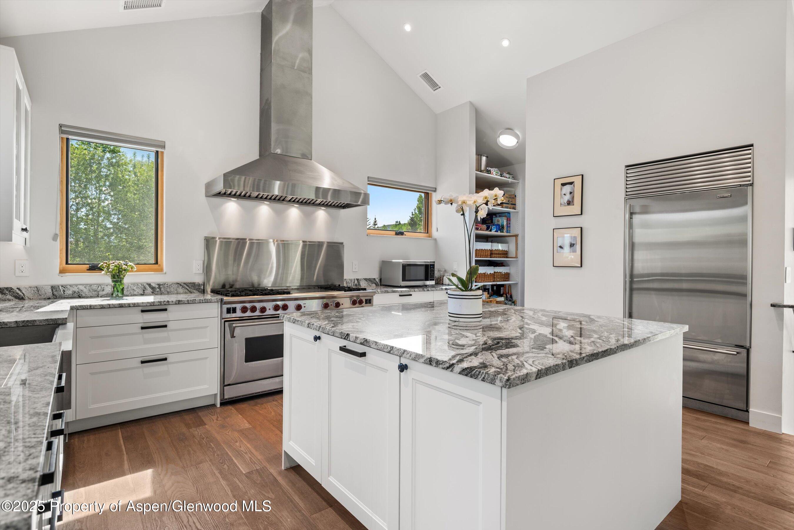 45 Little Elk Creek Avenue Snowmass CO 81654