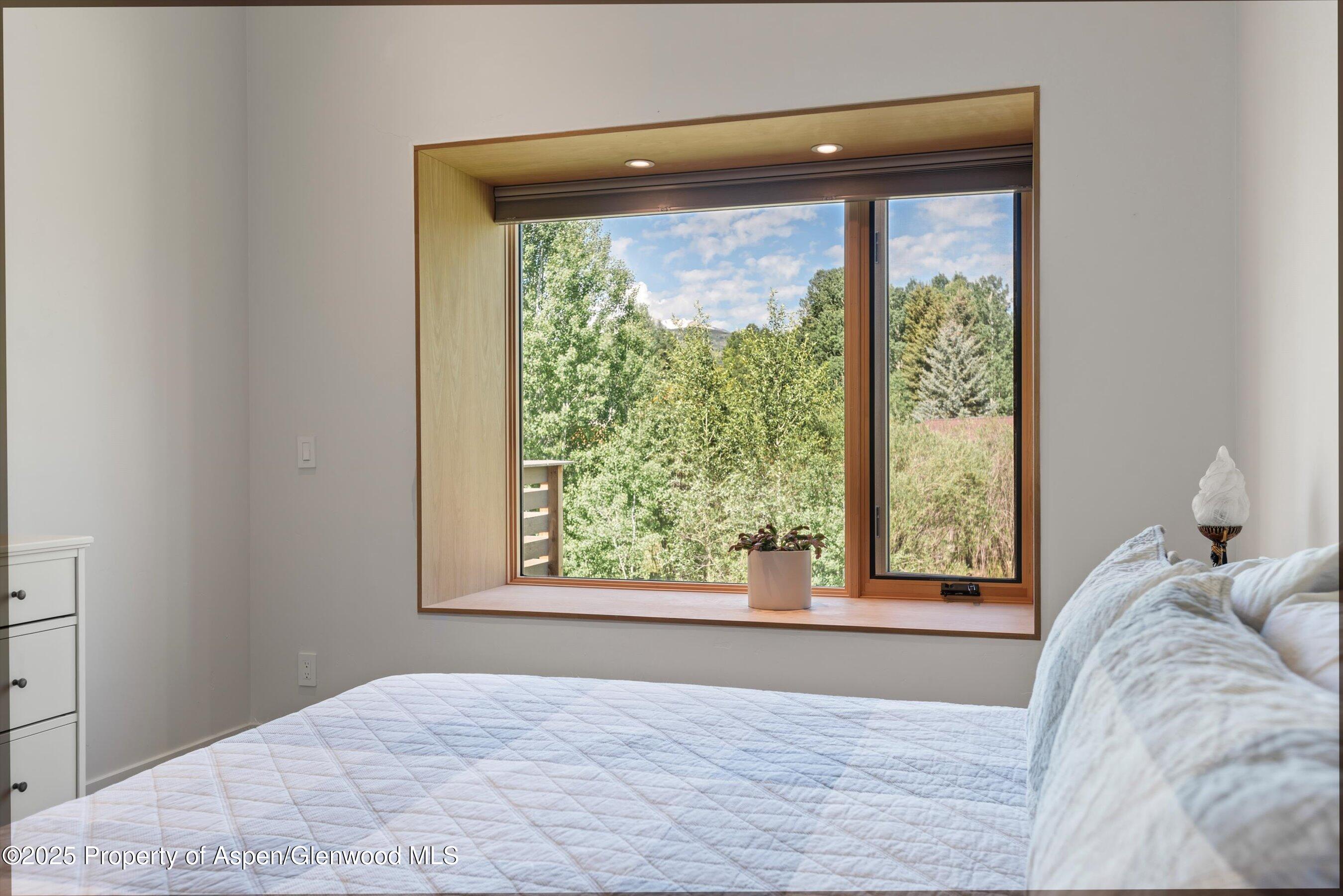 45 Little Elk Creek Avenue Snowmass CO 81654