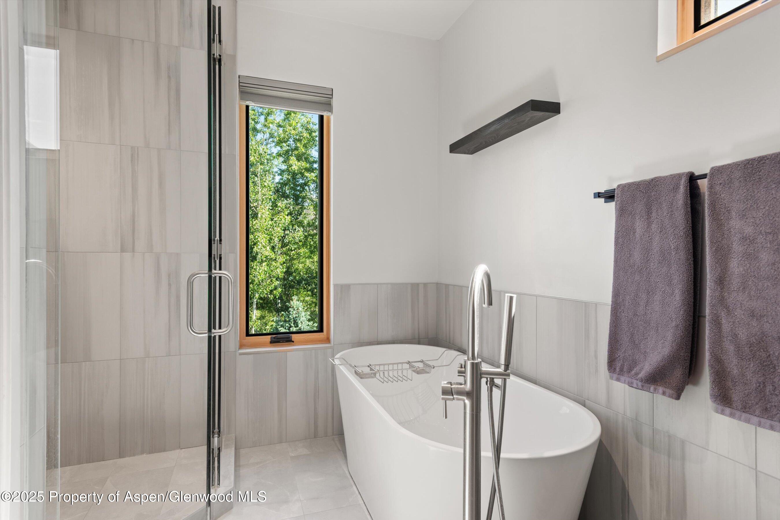 45 Little Elk Creek Avenue Snowmass CO 81654