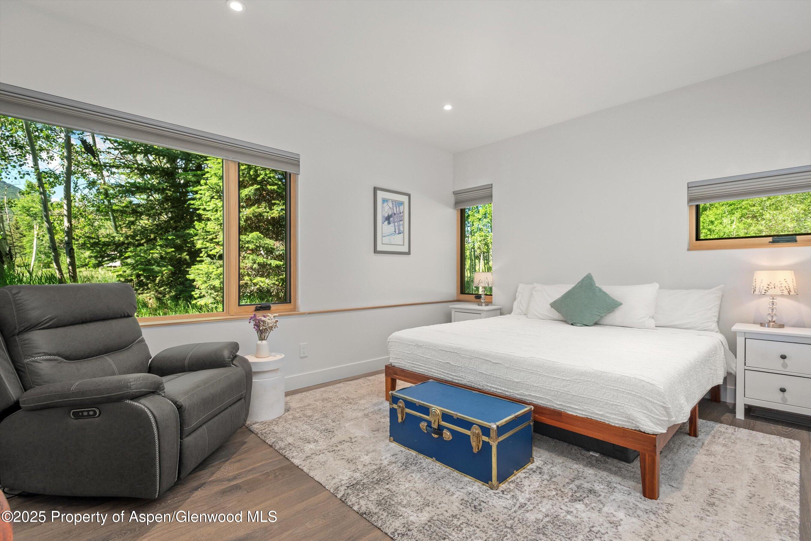 45 Little Elk Creek Avenue Snowmass CO 81654