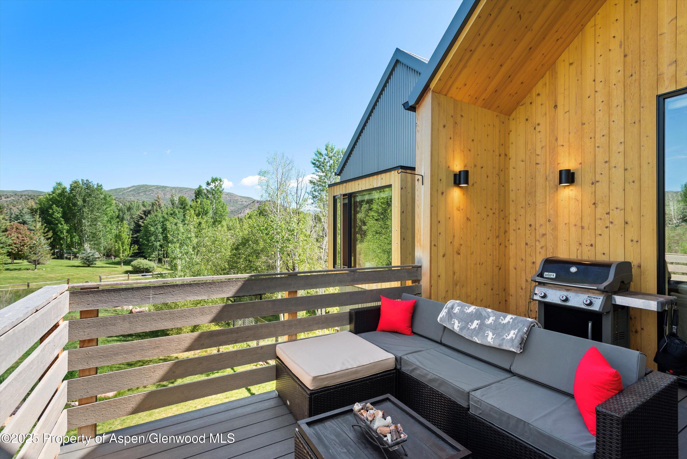 45 Little Elk Creek Avenue Snowmass CO 81654