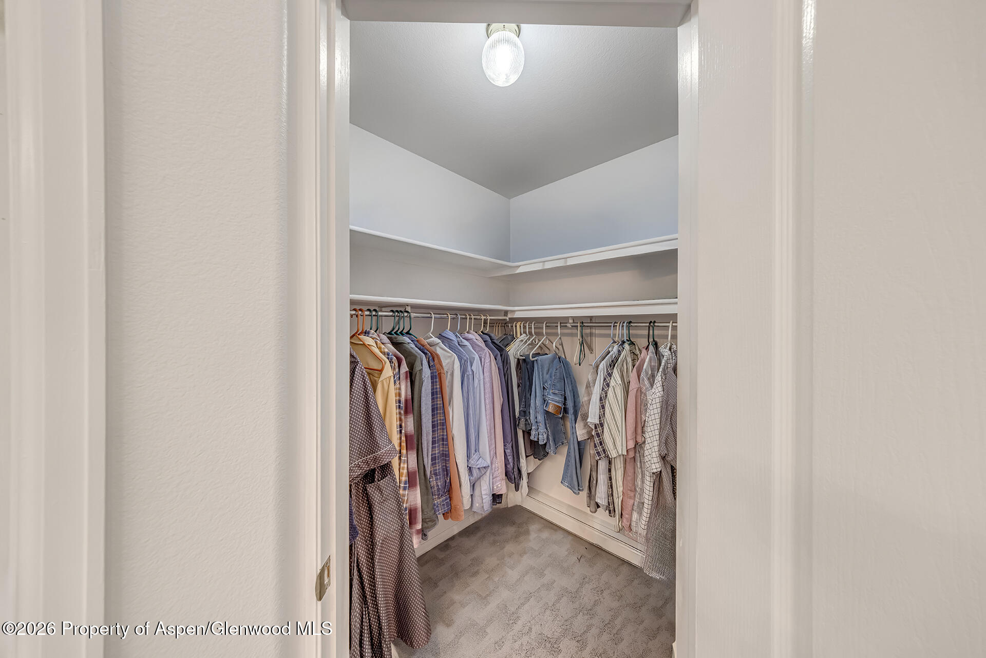 2564 Forest Hills Avenue Grand Junction CO 81505