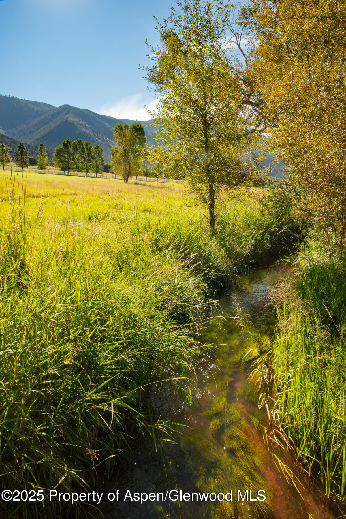 2147 Lower River Road Snowmass CO 81654