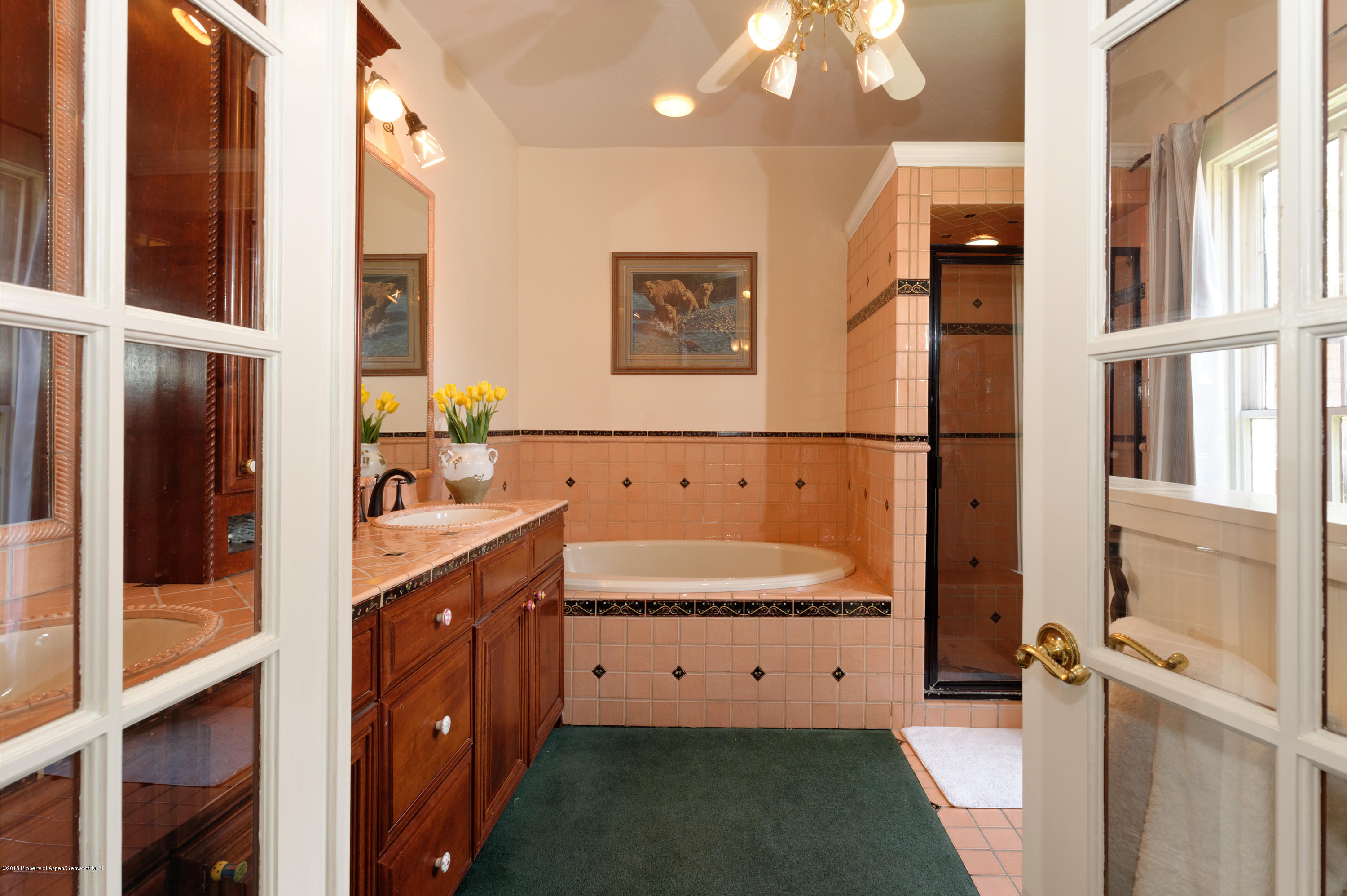 706 W Main Street Aspen CO 81611