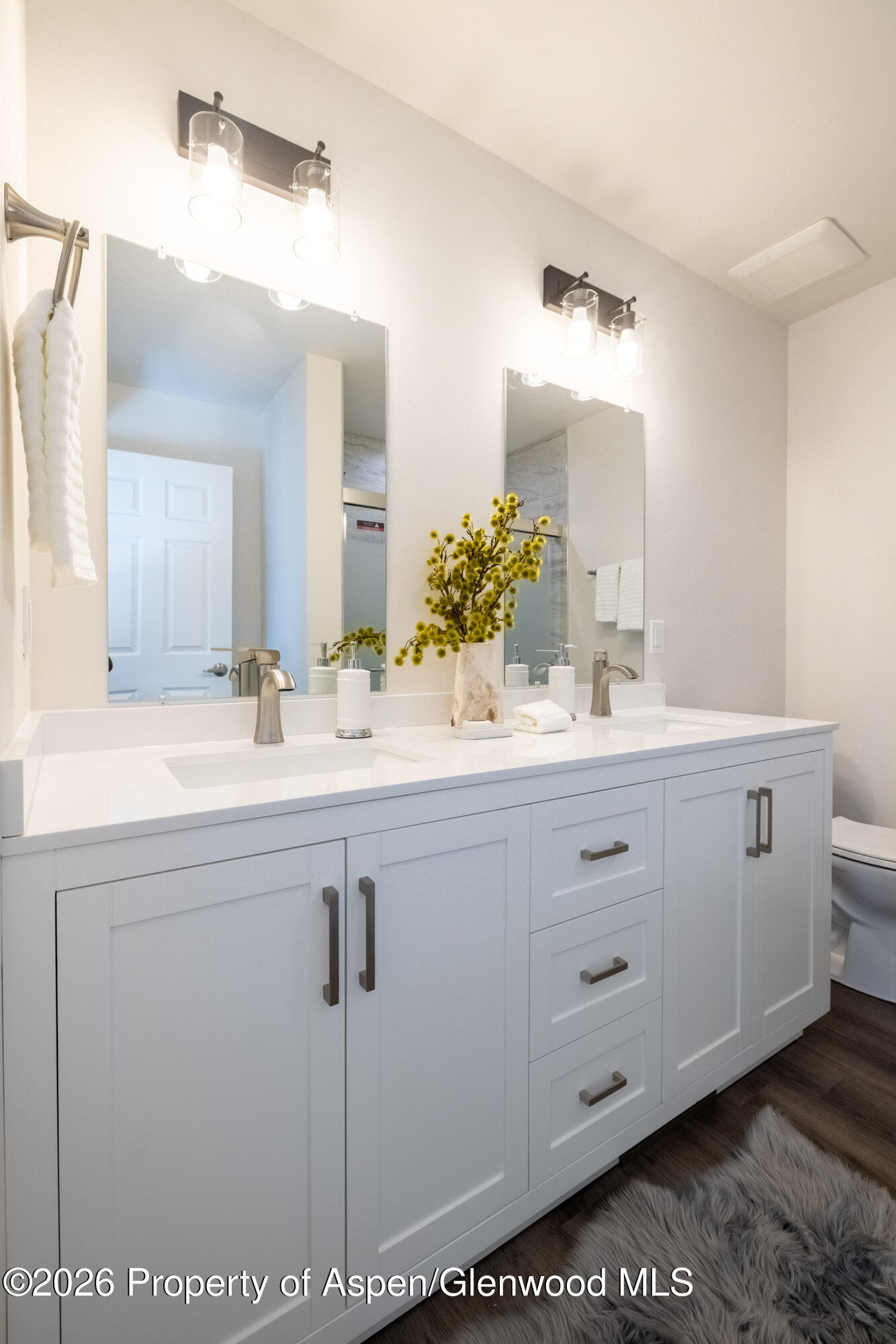 19 Roan Creek Place Battlement Mesa CO 81635