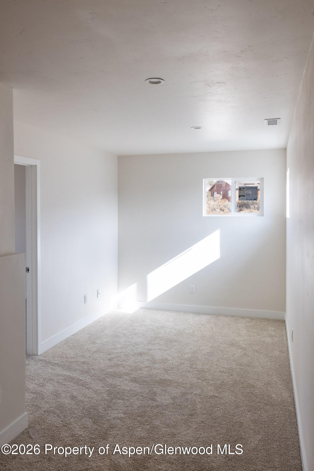 19 Roan Creek Place Battlement Mesa CO 81635