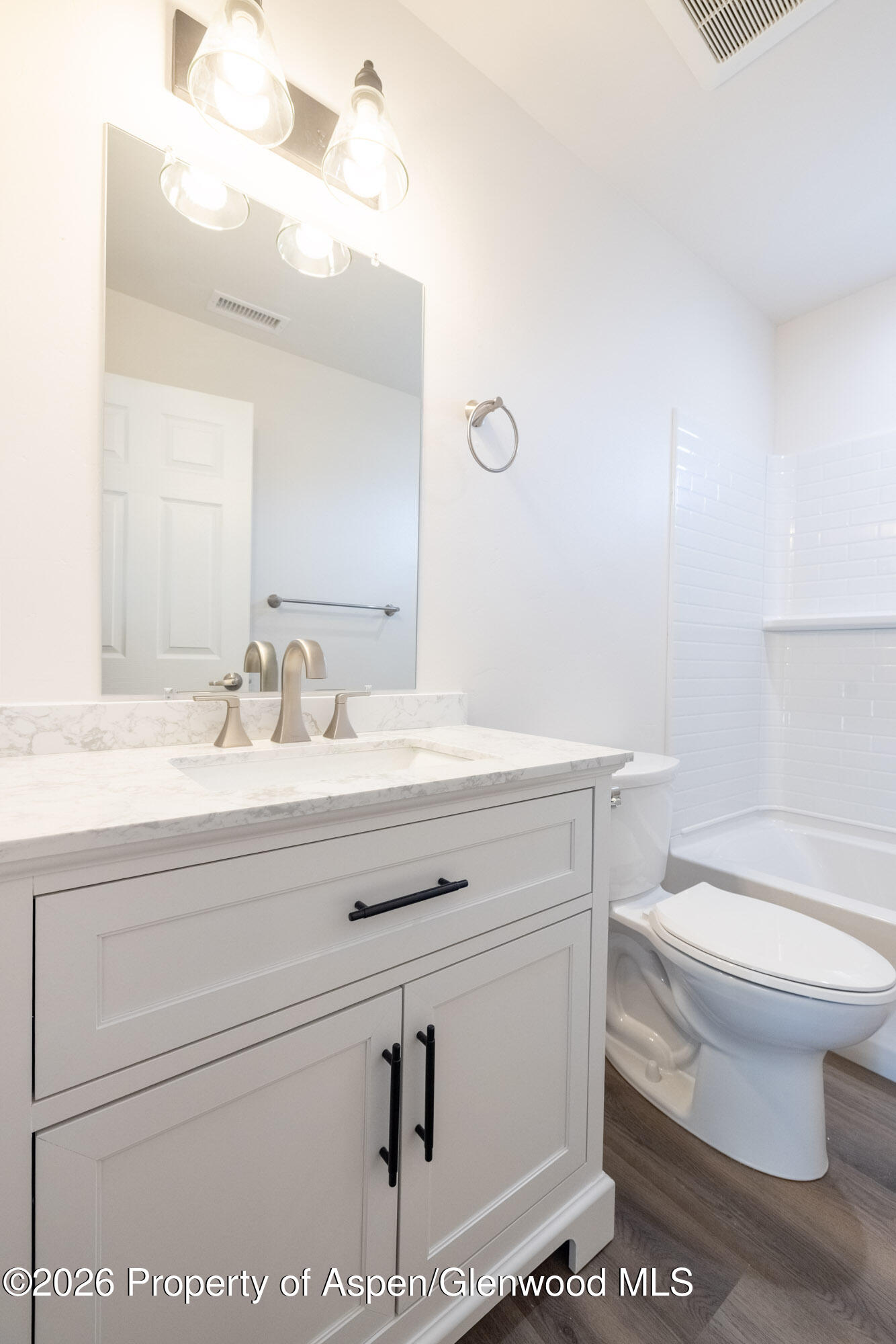 19 Roan Creek Place Battlement Mesa CO 81635