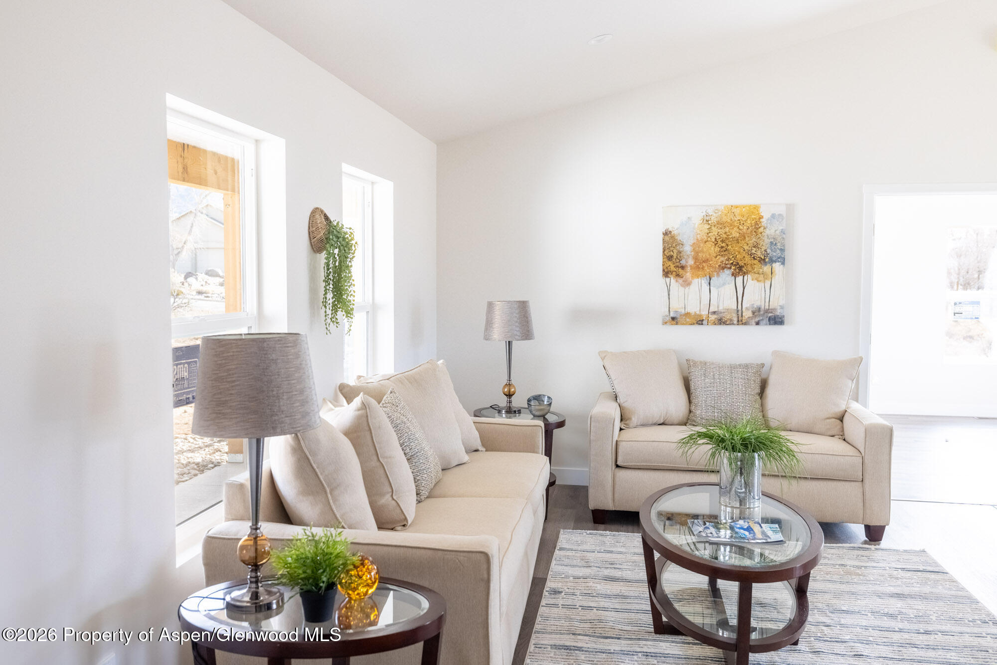 19 Roan Creek Place Battlement Mesa CO 81635