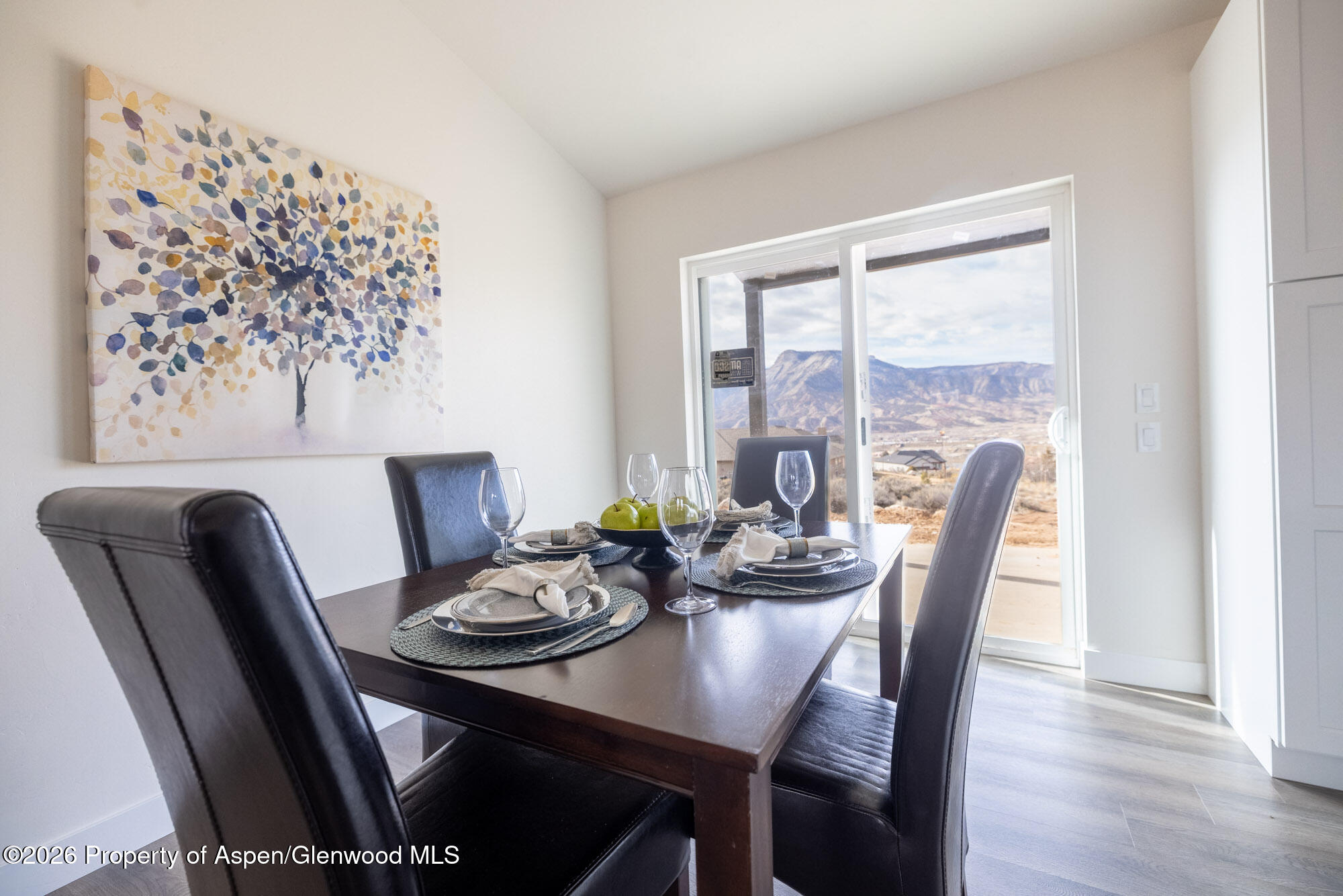 19 Roan Creek Place Battlement Mesa CO 81635