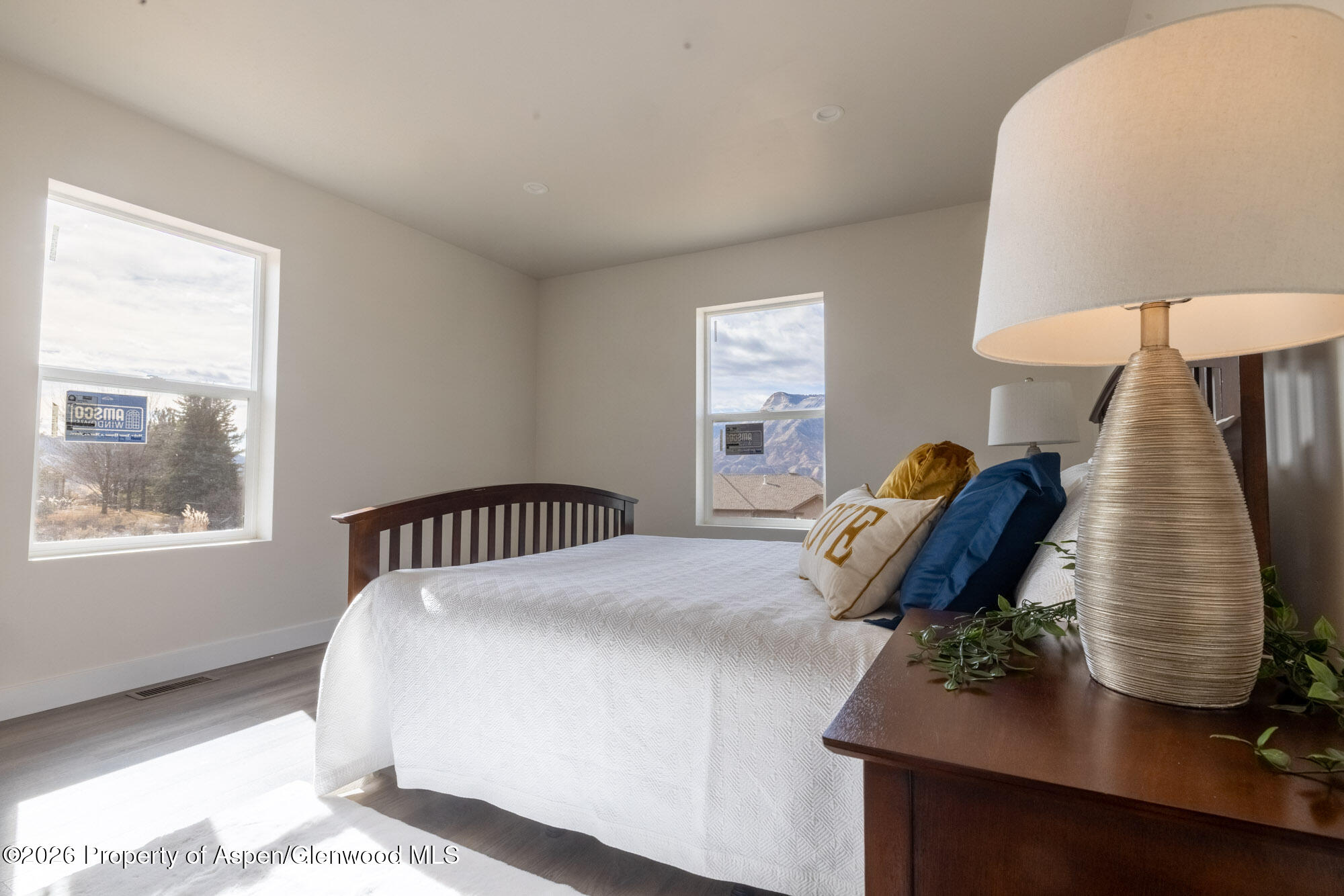 19 Roan Creek Place Battlement Mesa CO 81635