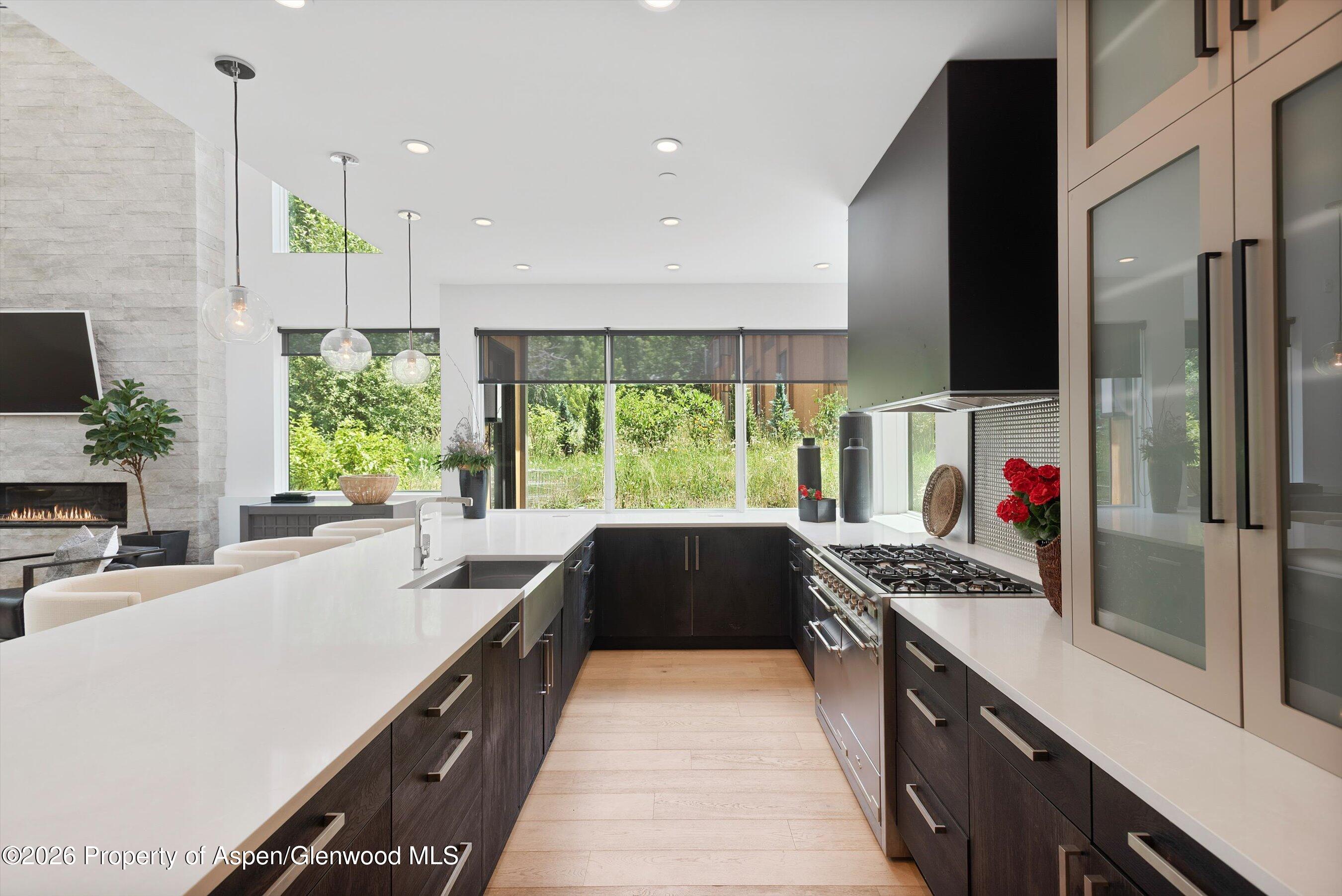 813 W Smuggler Street Aspen CO 81611