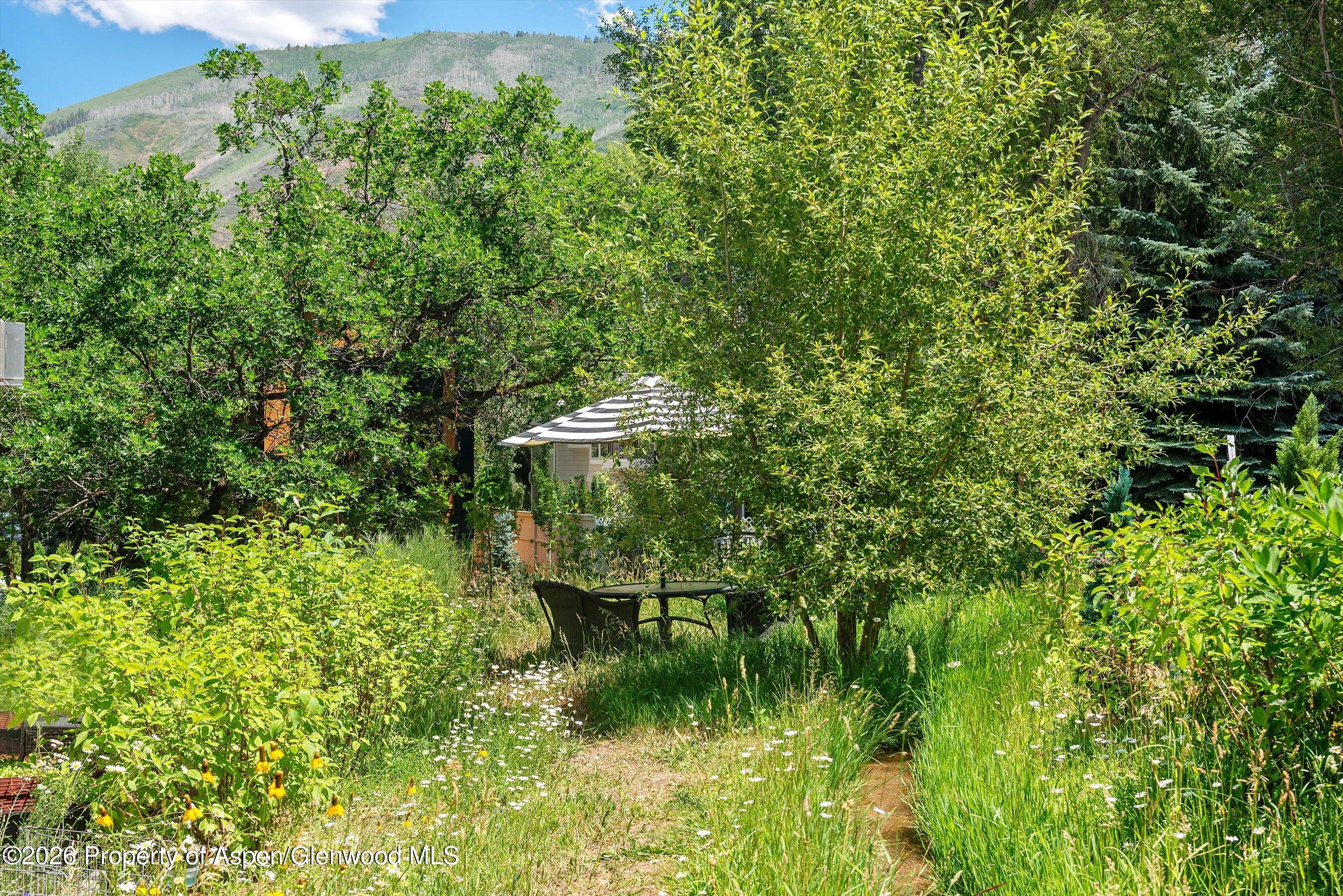 813 W Smuggler Street Aspen CO 81611