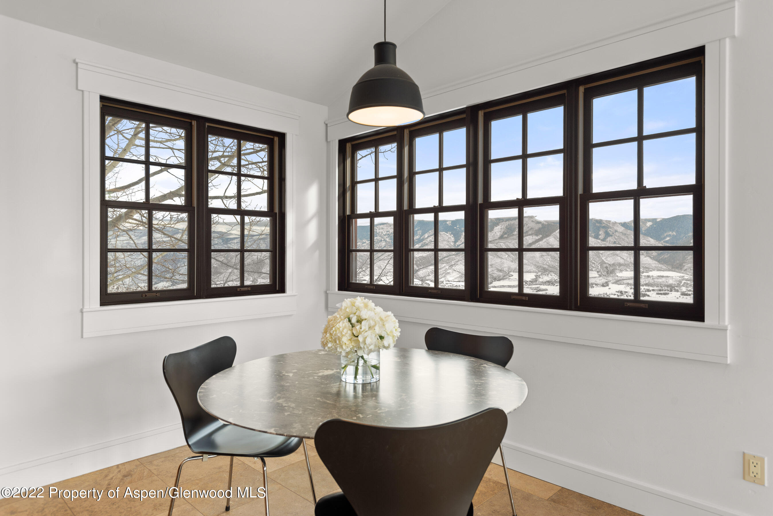 2908 Juniper Hill Drive Aspen CO 81611