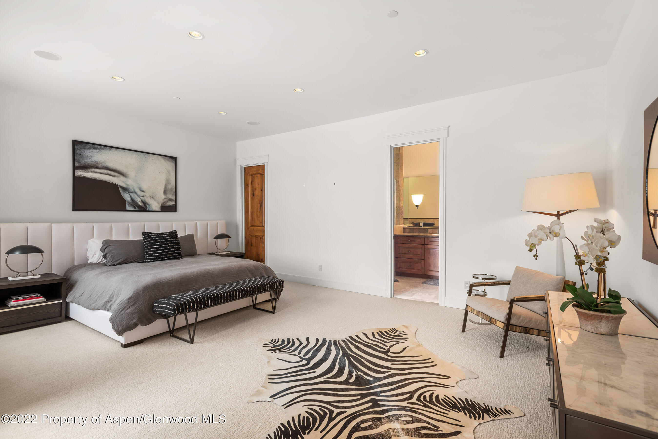 2908 Juniper Hill Drive Aspen CO 81611