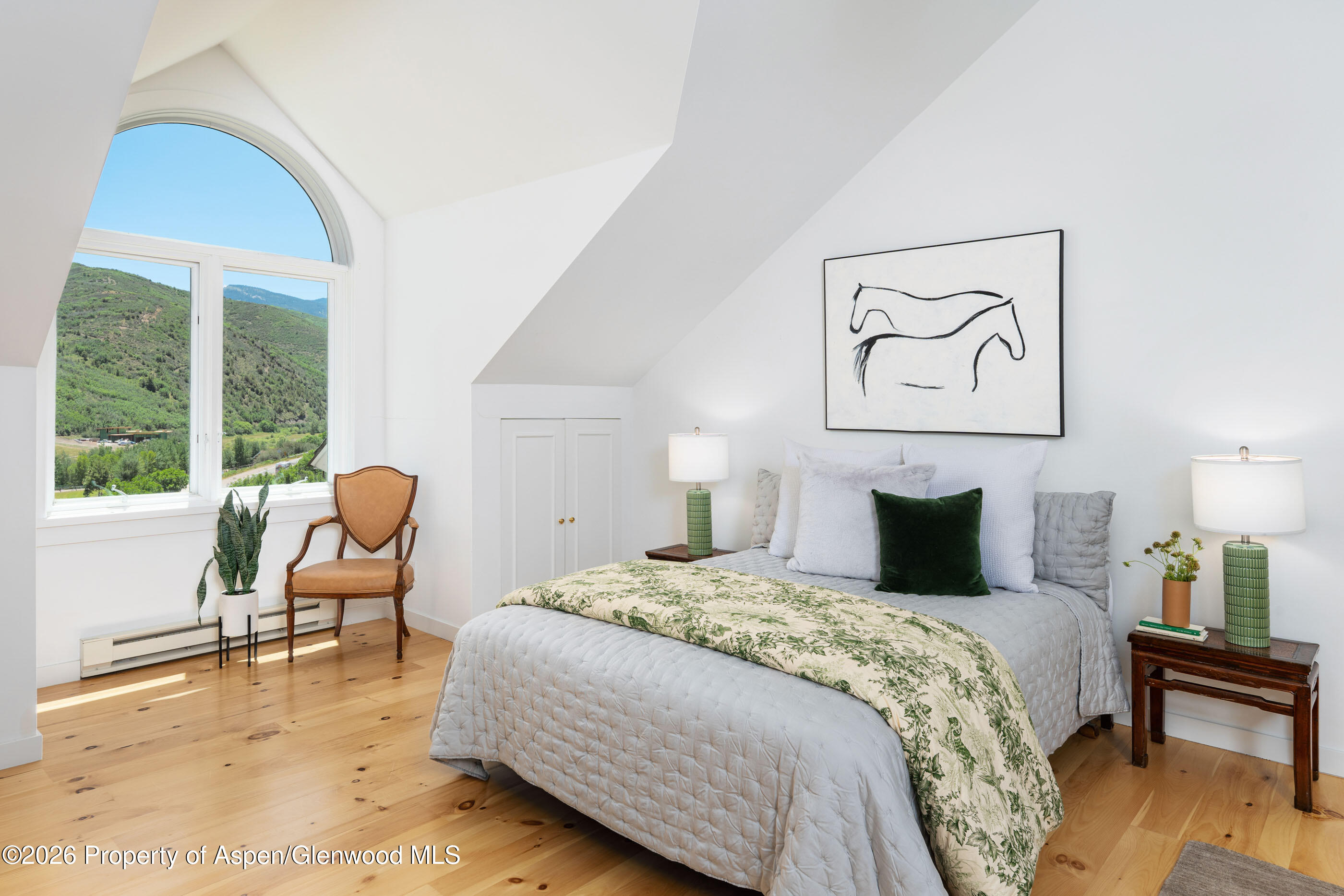 679 Brush Creek Road Aspen CO 81611