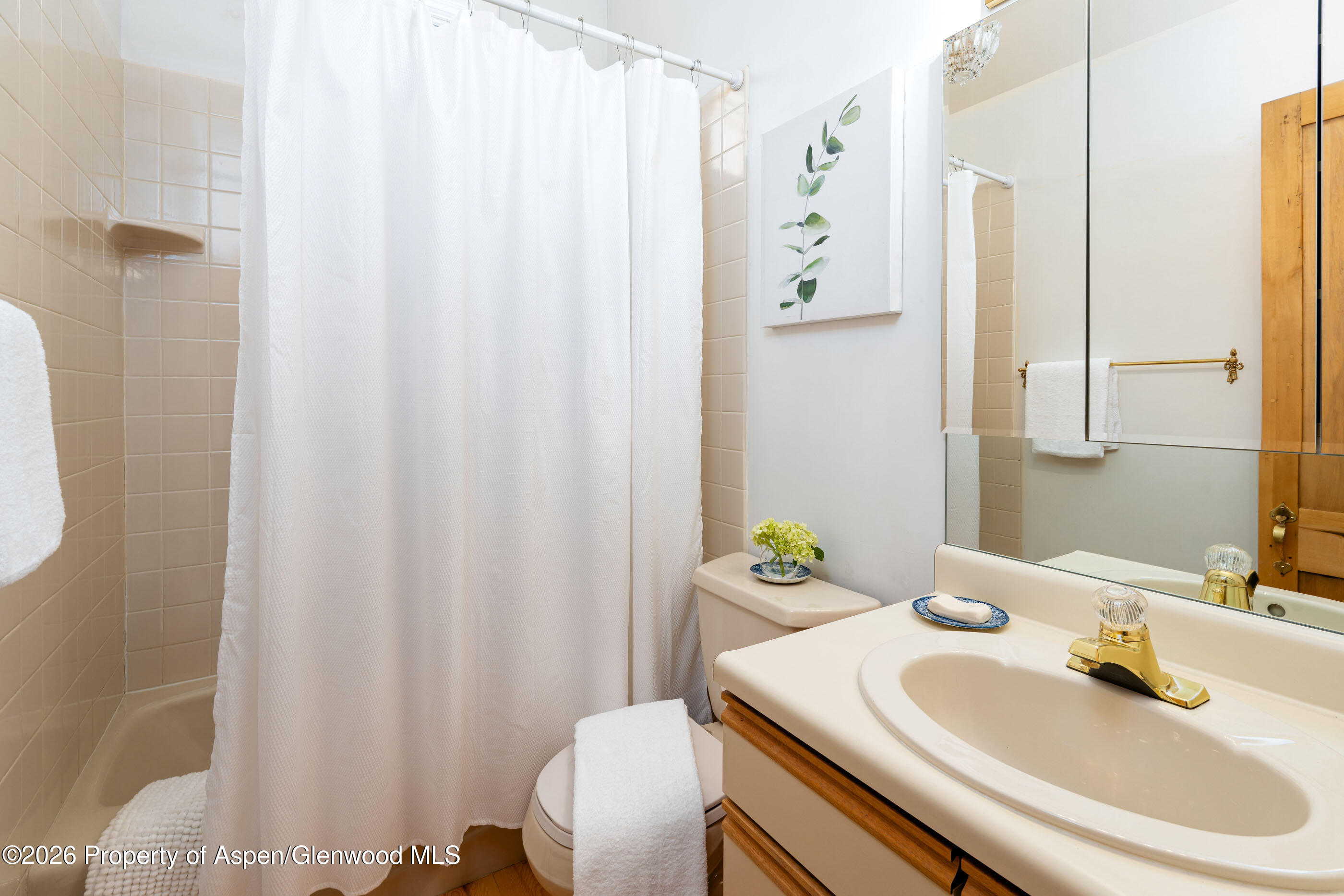 679 Brush Creek Road Aspen CO 81611