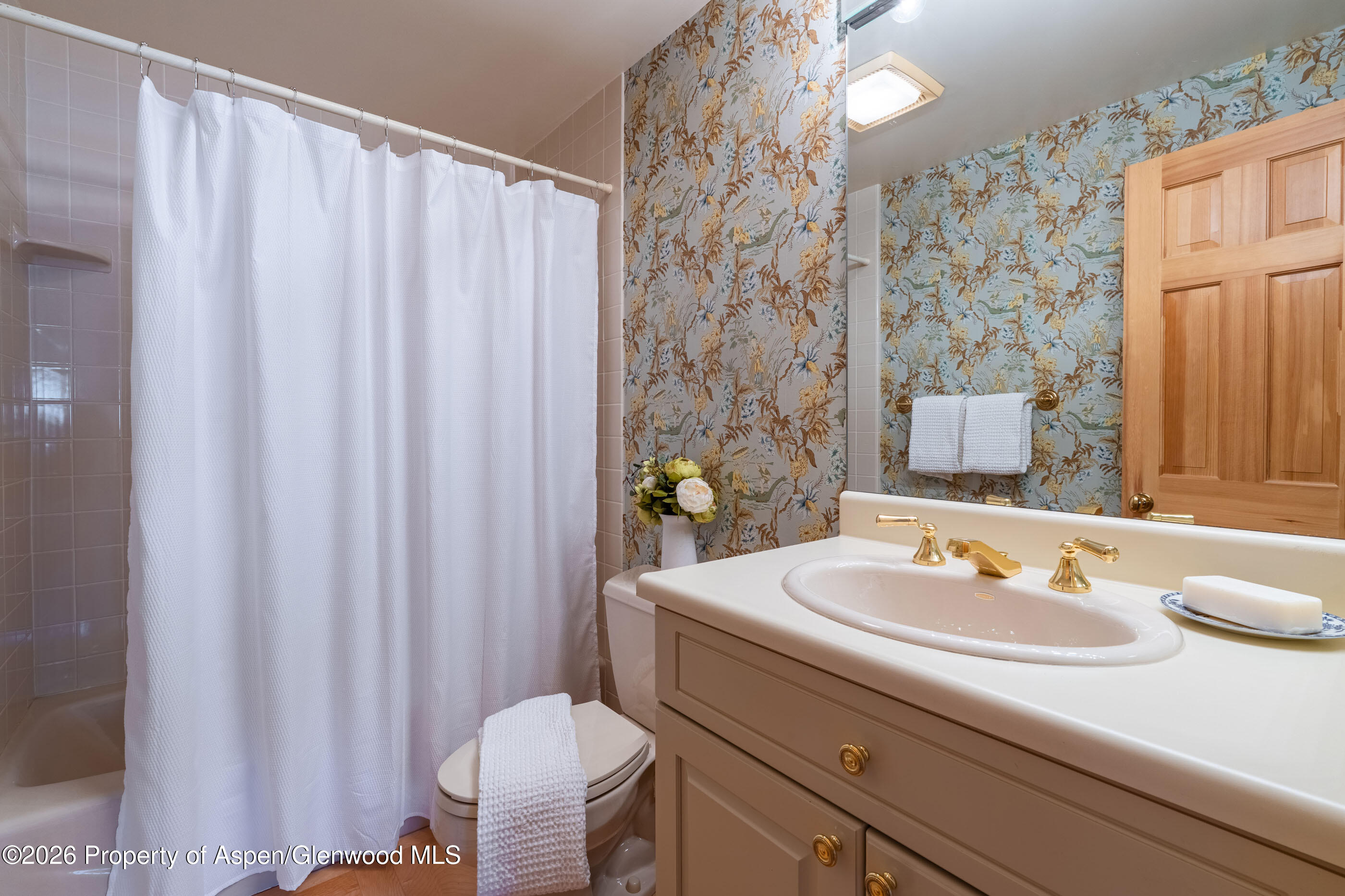 679 Brush Creek Road Aspen CO 81611
