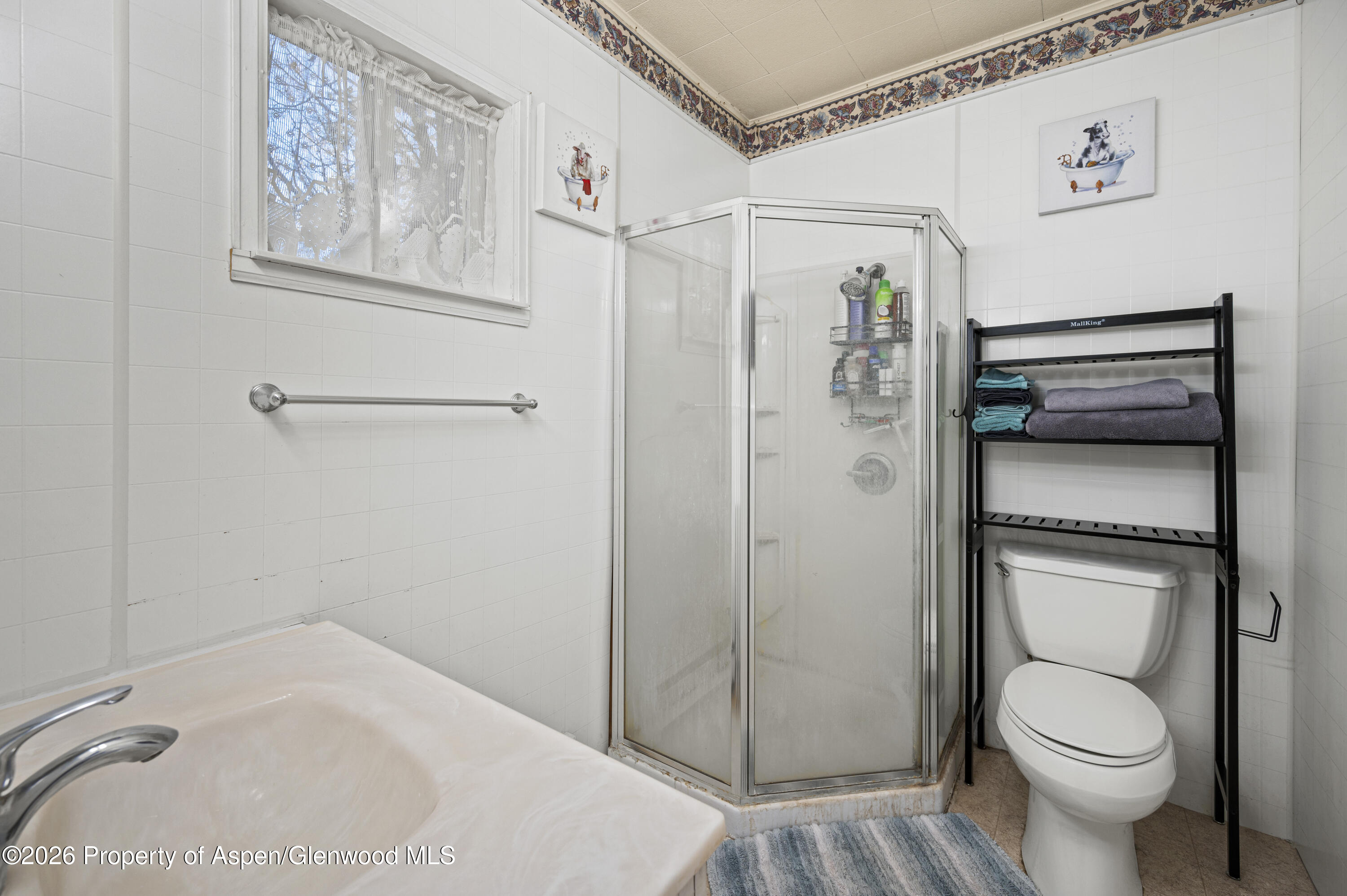 1259 County Road 113 Carbondale CO 81623