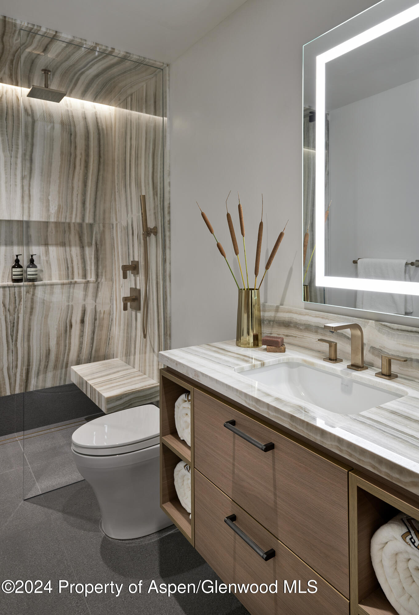 411 Pearl Court Aspen CO 81611