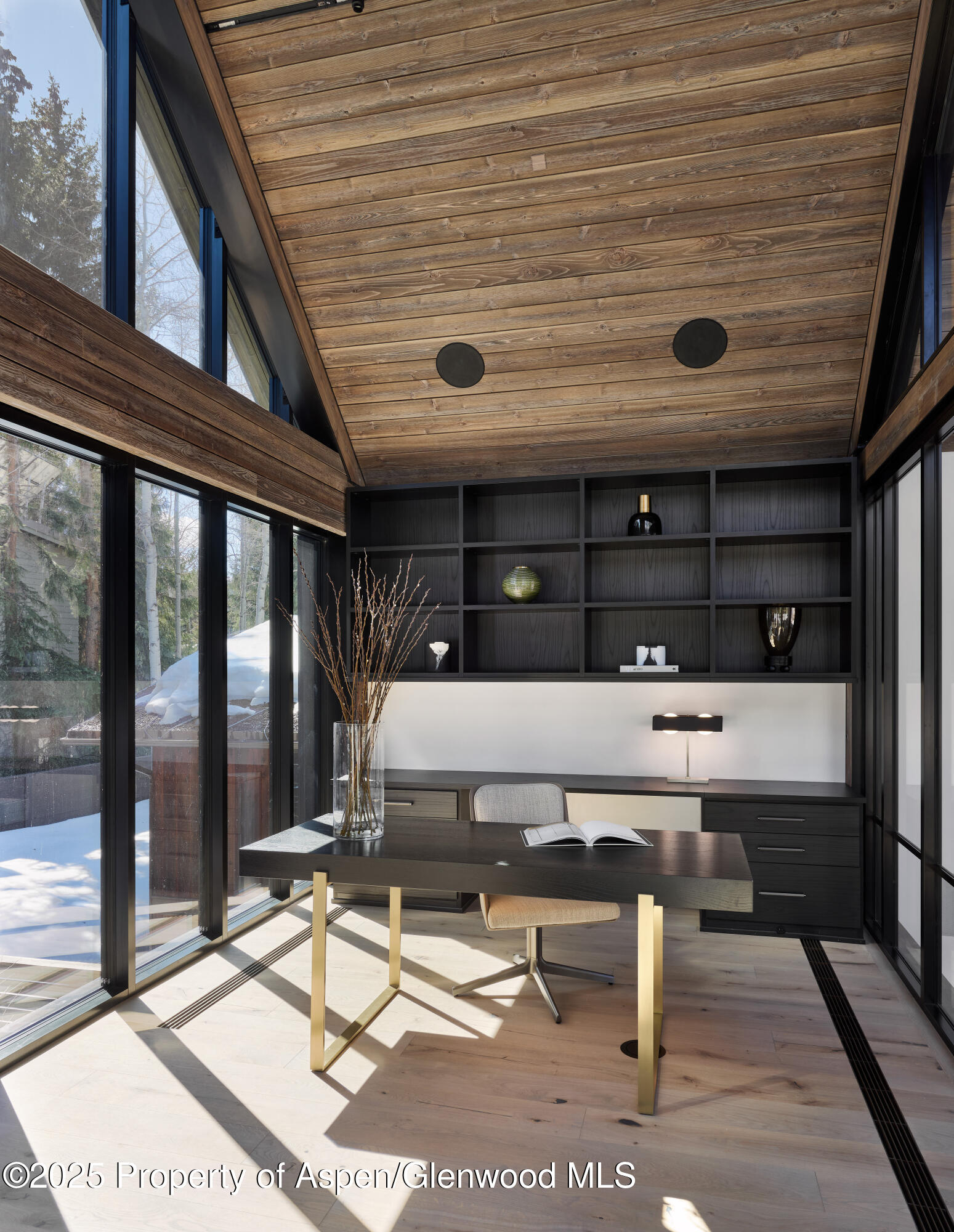 411 Pearl Court Aspen CO 81611