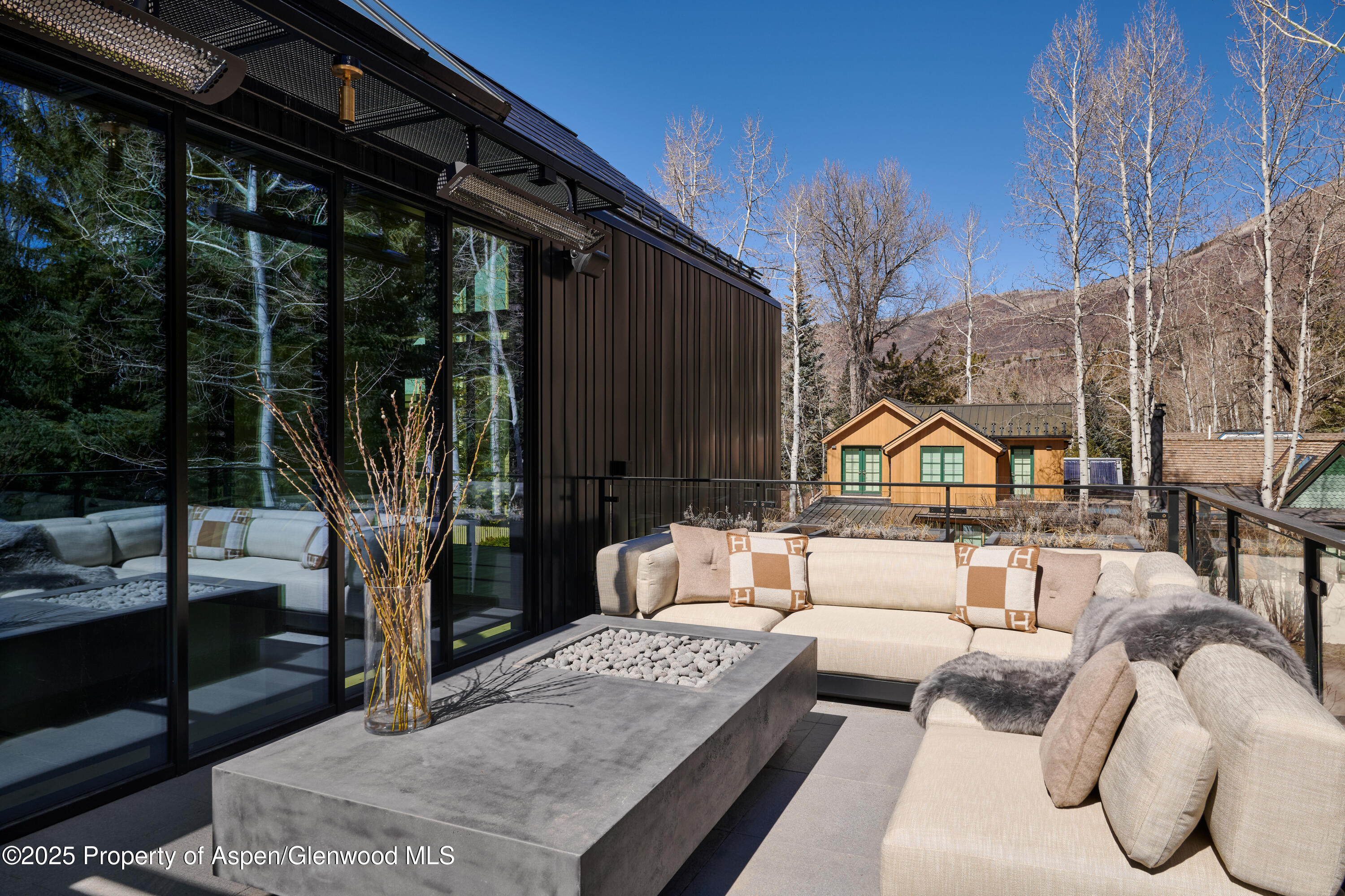 411 Pearl Court Aspen CO 81611