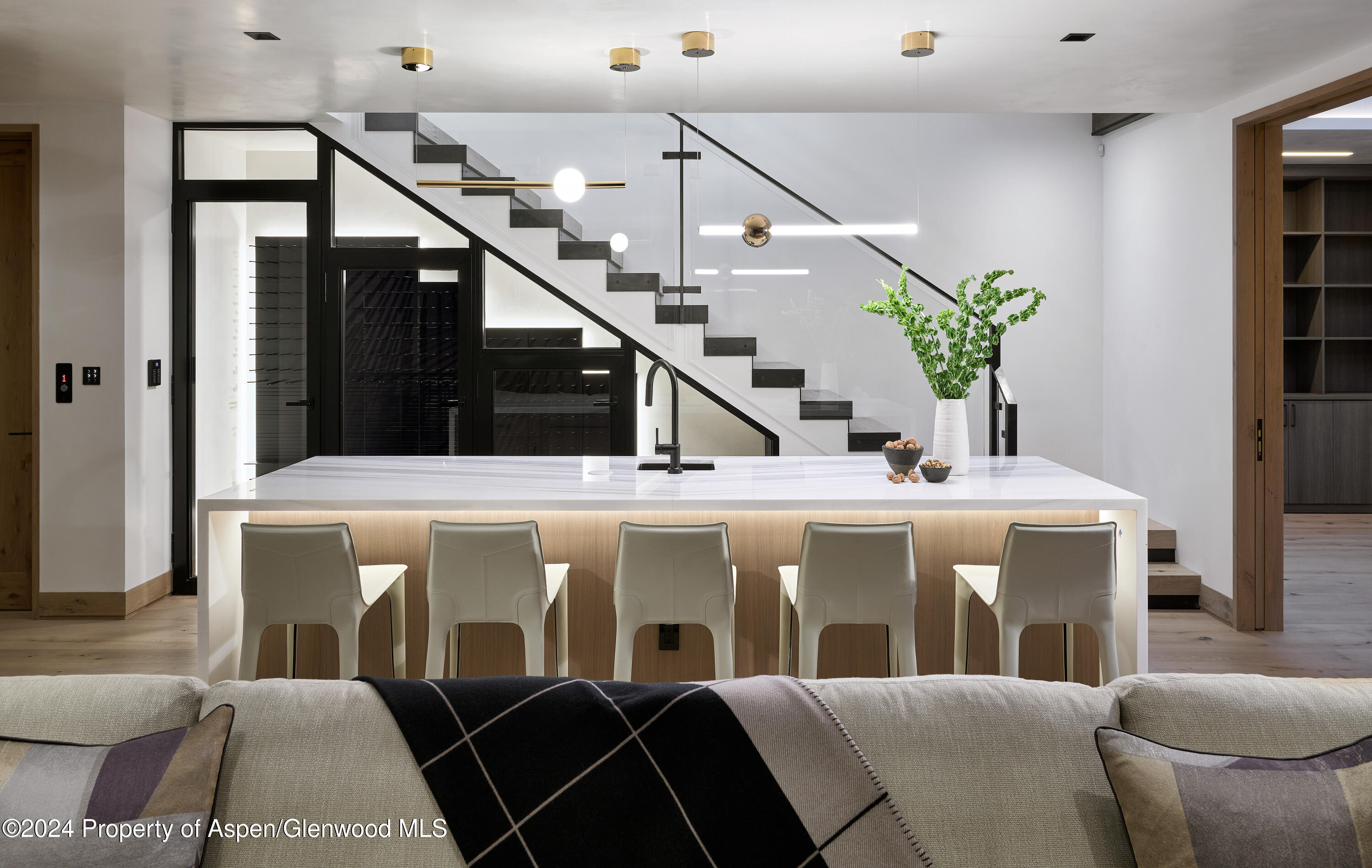 411 Pearl Court Aspen CO 81611