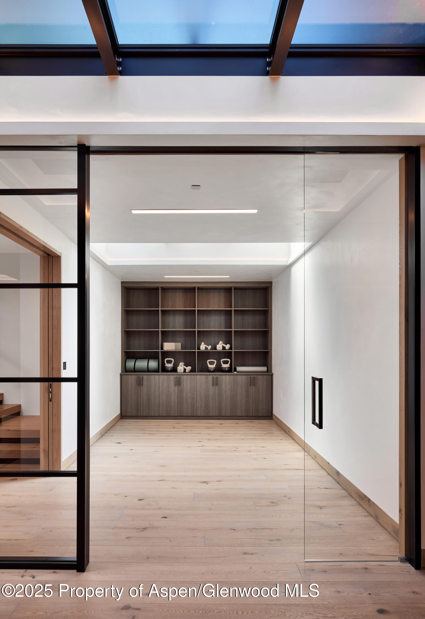 411 Pearl Court Aspen CO 81611