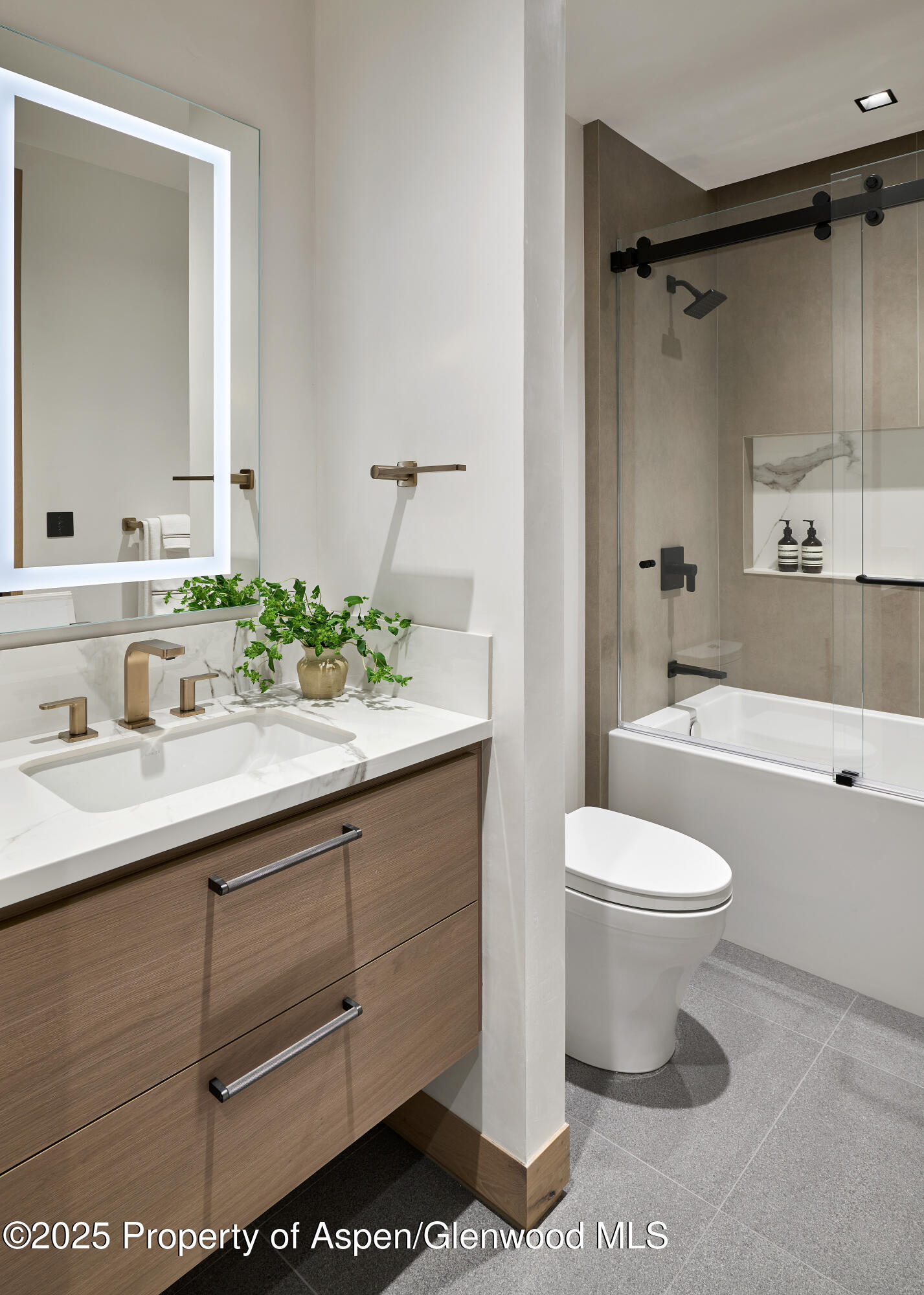 411 Pearl Court Aspen CO 81611