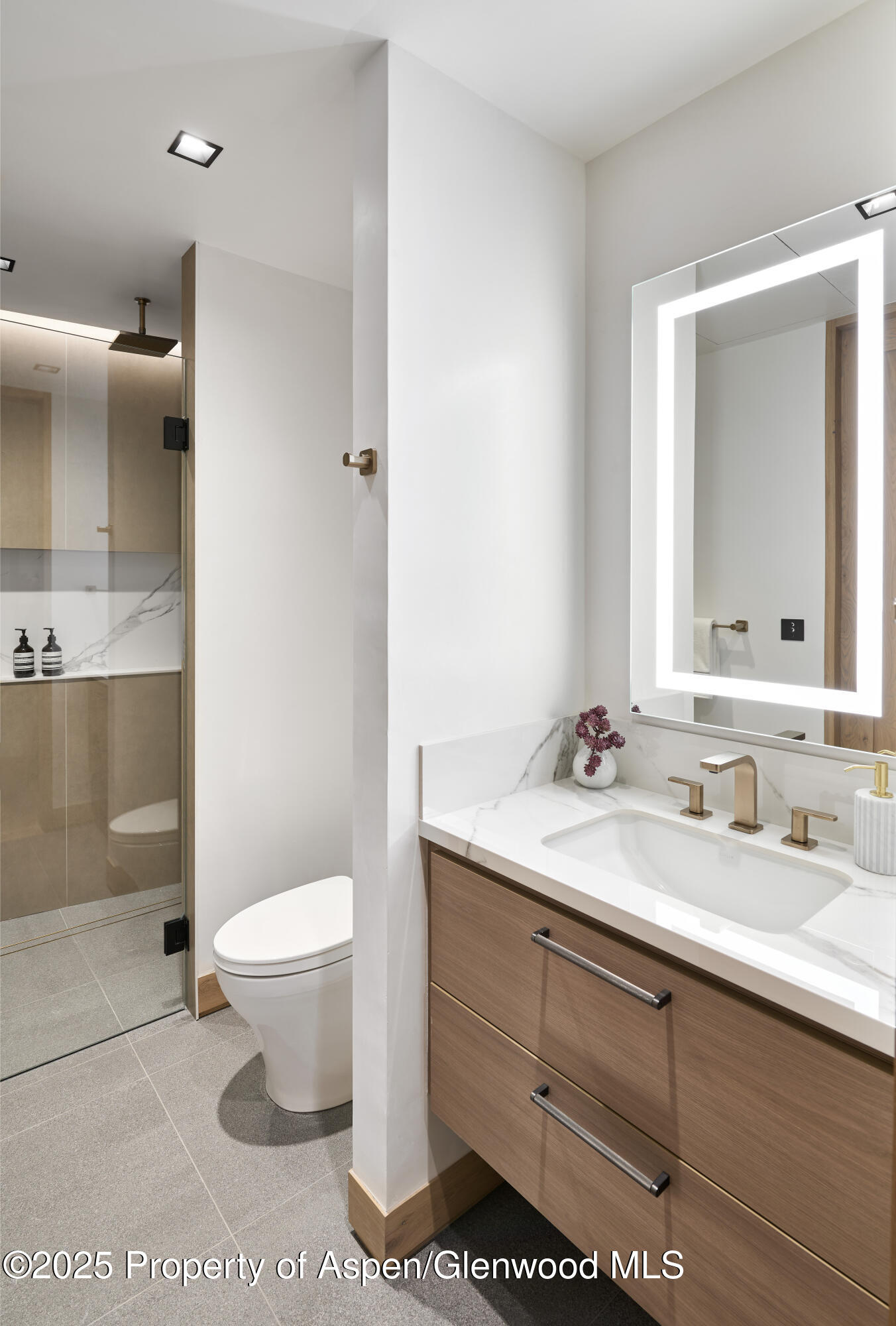 411 Pearl Court Aspen CO 81611