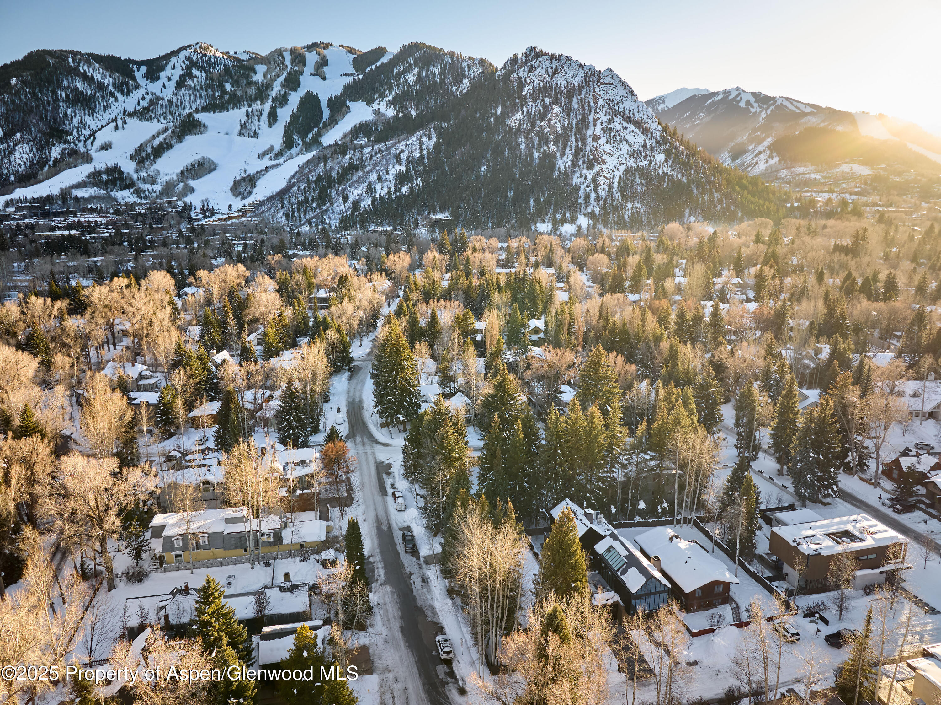 411 Pearl Court Aspen CO 81611