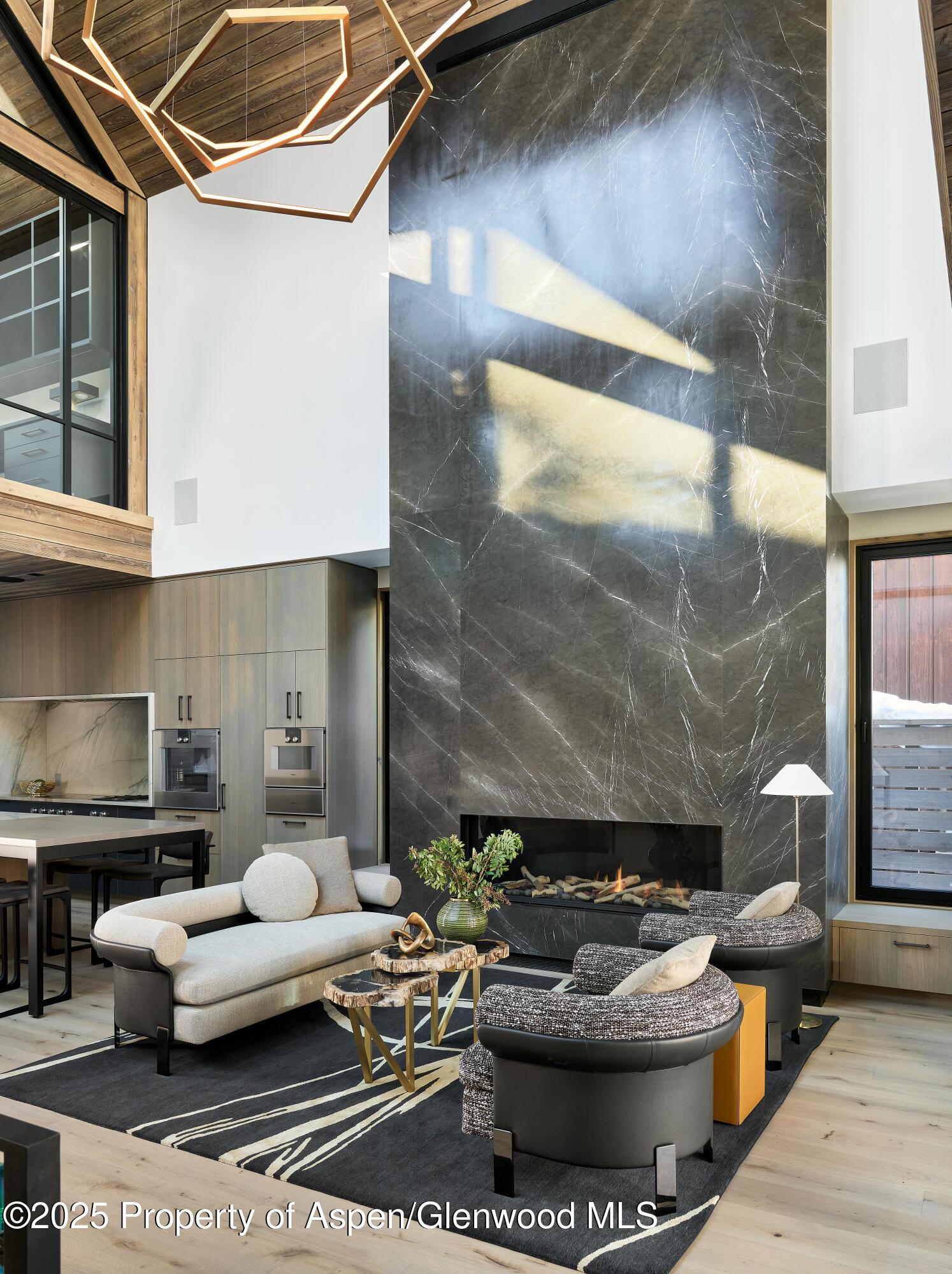 411 Pearl Court Aspen CO 81611