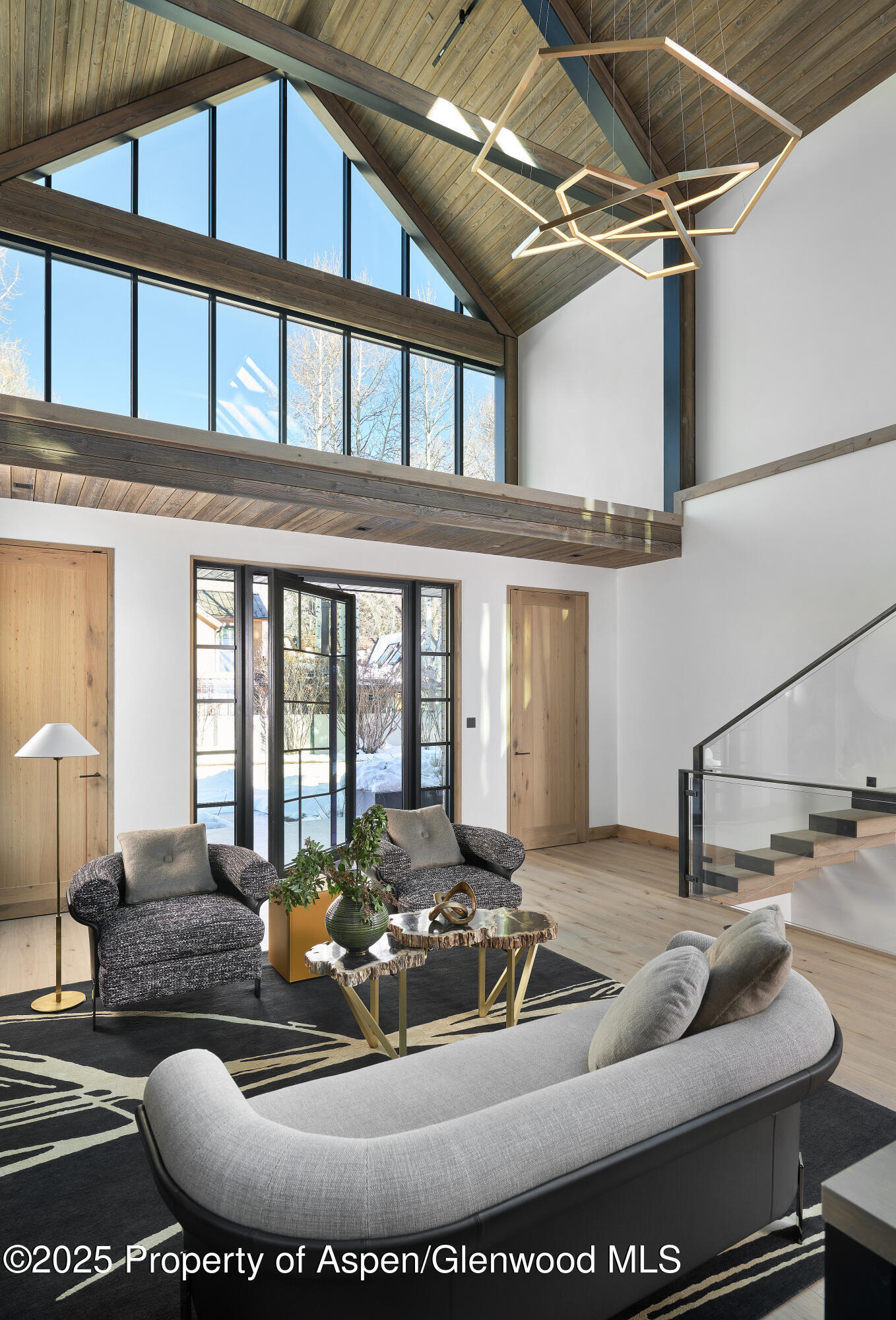411 Pearl Court Aspen CO 81611