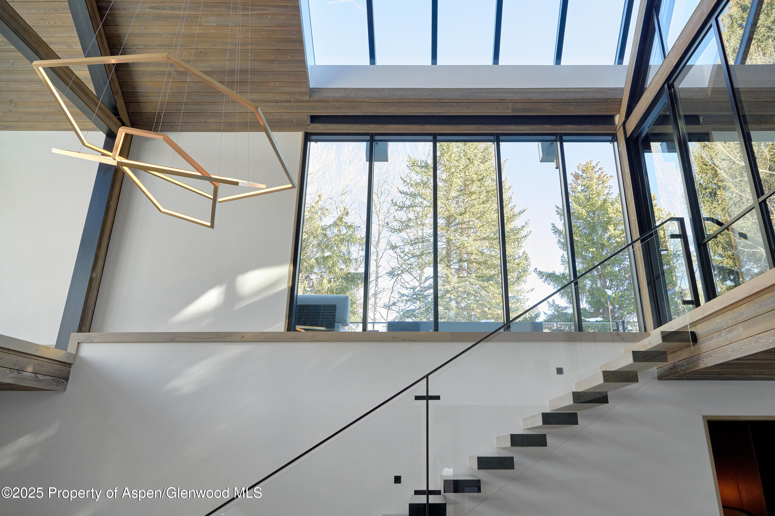 411 Pearl Court Aspen CO 81611