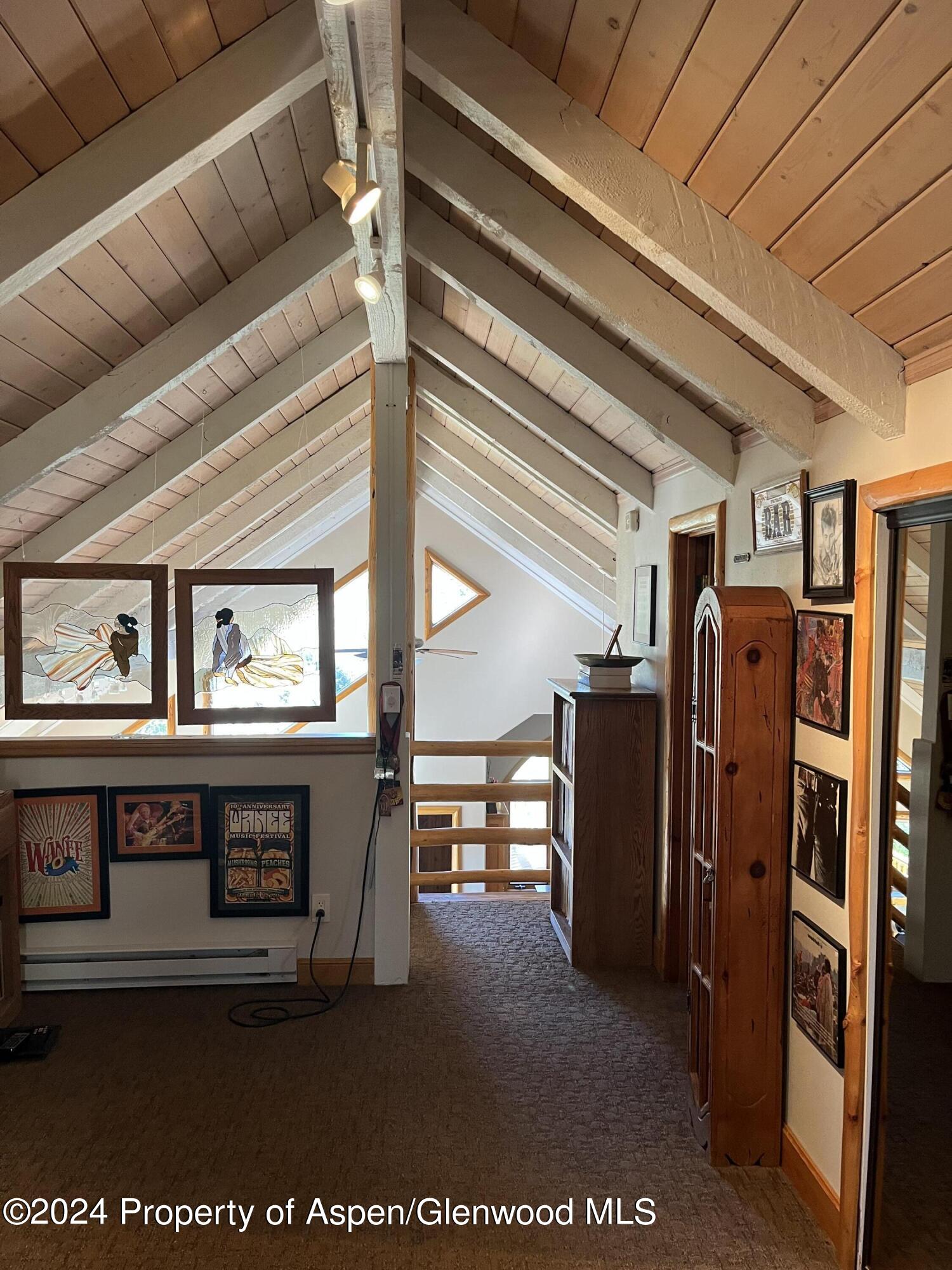 234 Light Hill Road Snowmass CO 81654