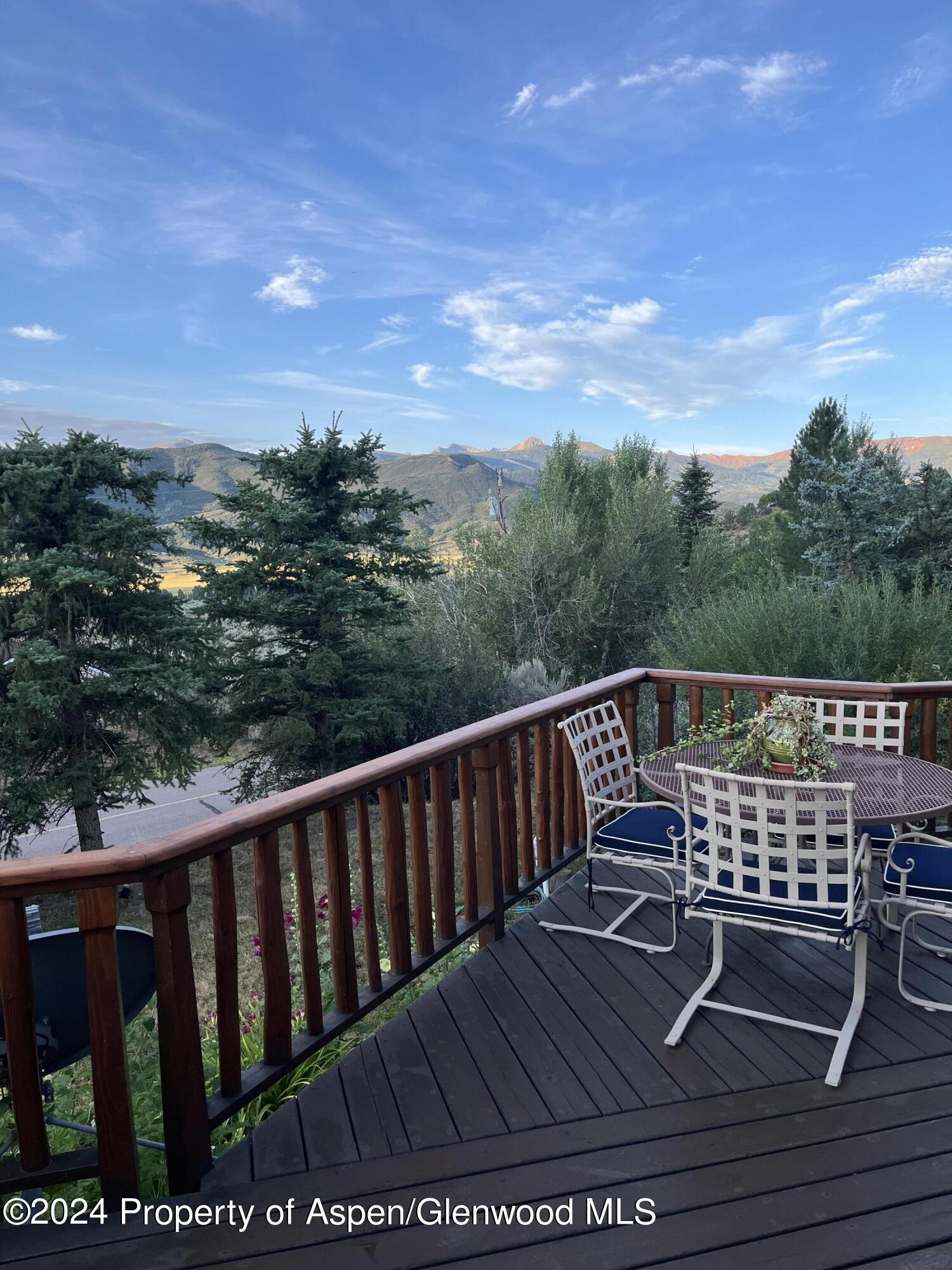 234 Light Hill Road Snowmass CO 81654