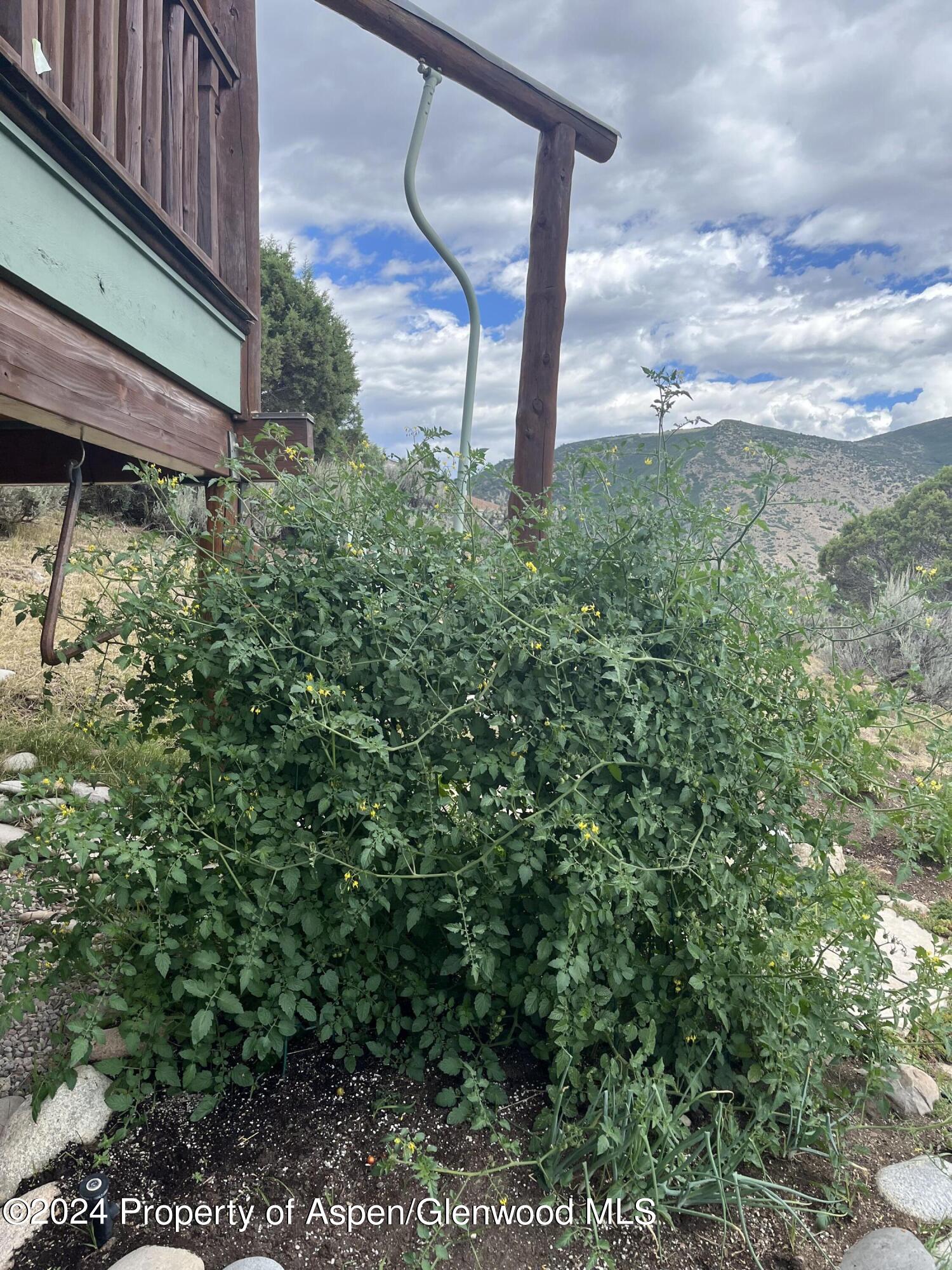 234 Light Hill Road Snowmass CO 81654