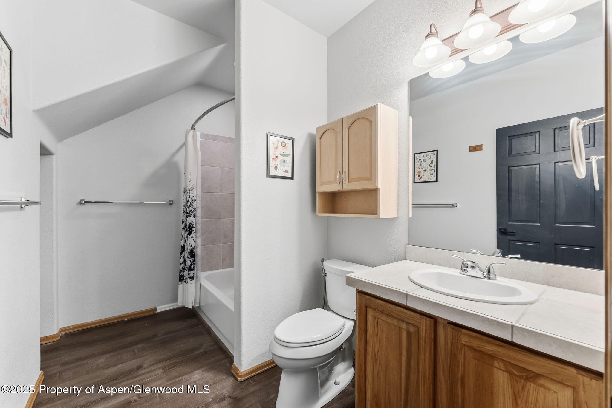 60 Gingerquill Court Dillon CO 80435