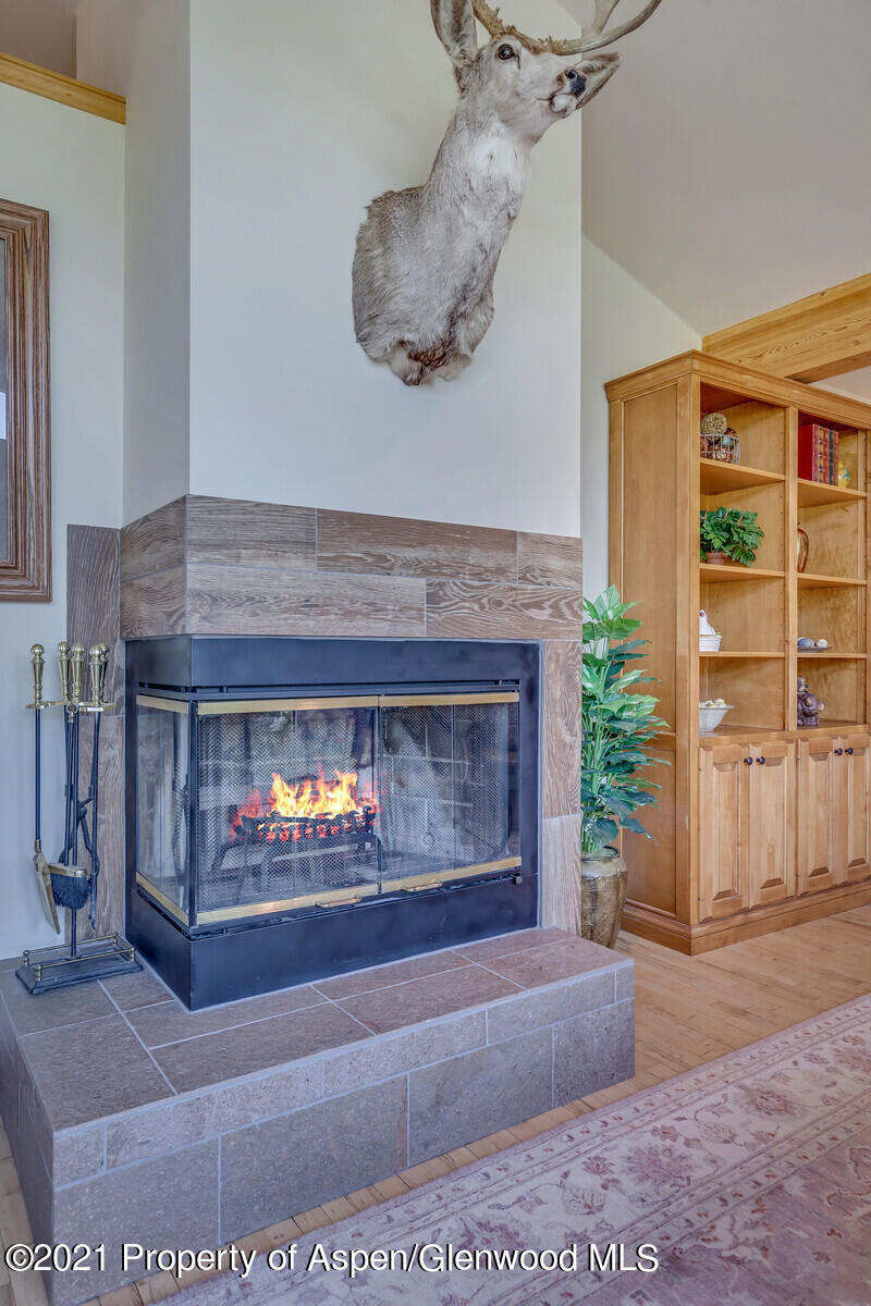 57 Arlian Road Carbondale CO 81623