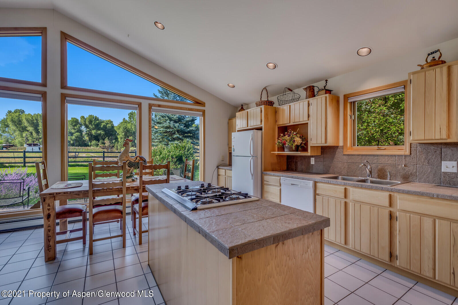 57 Arlian Road Carbondale CO 81623