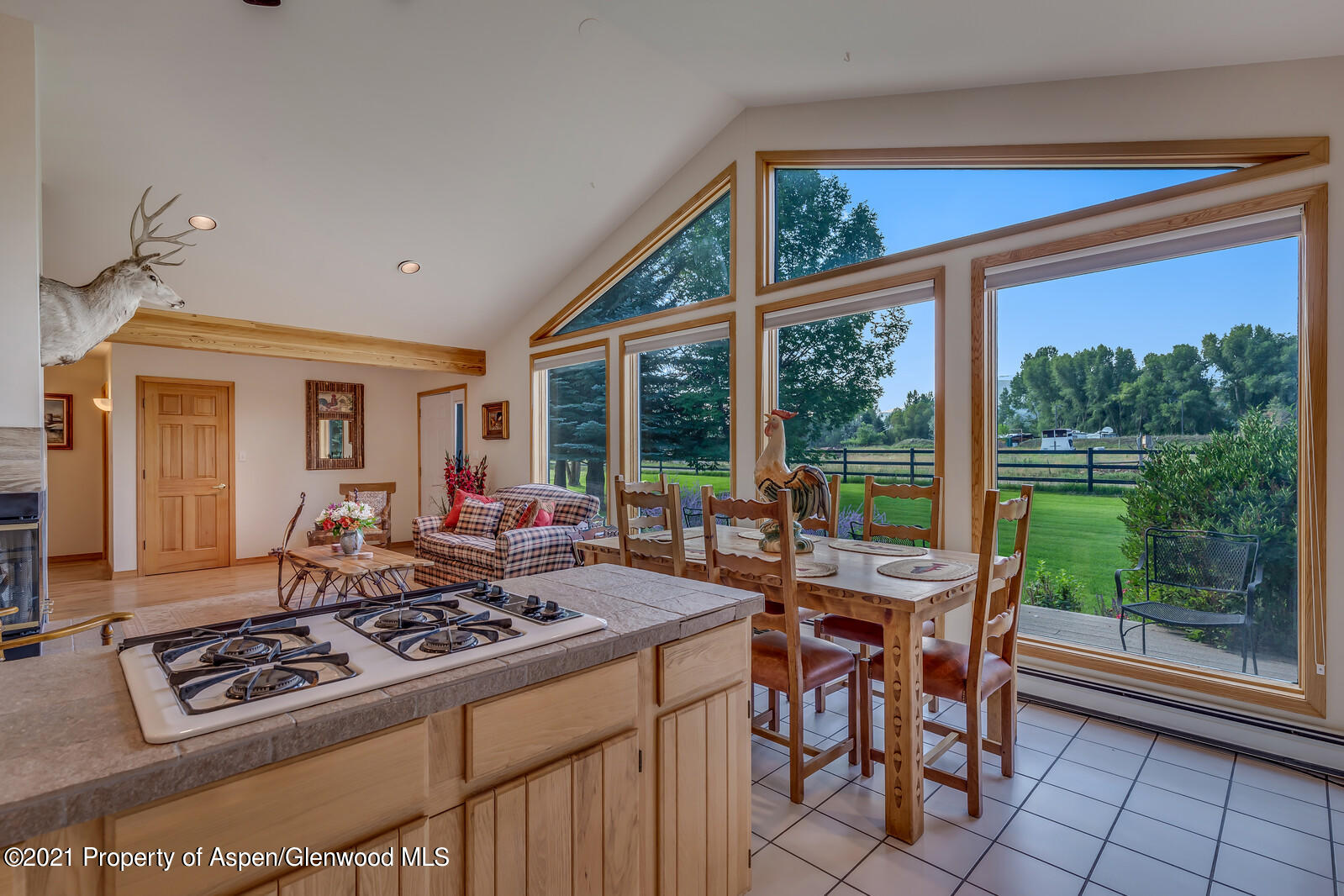57 Arlian Road Carbondale CO 81623