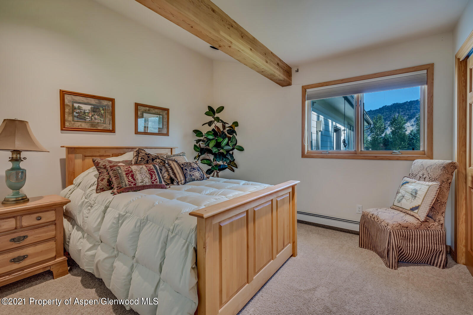 57 Arlian Road Carbondale CO 81623