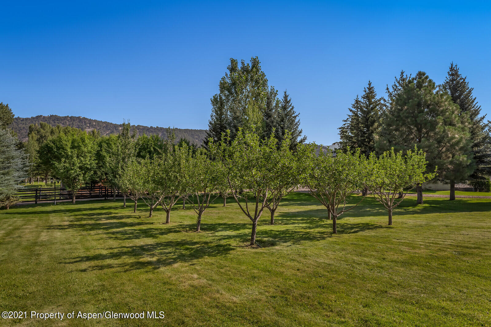 57 Arlian Road Carbondale CO 81623