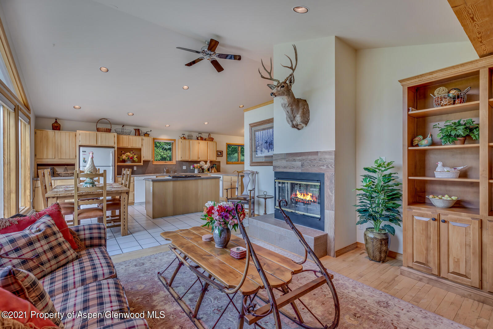 57 Arlian Road Carbondale CO 81623