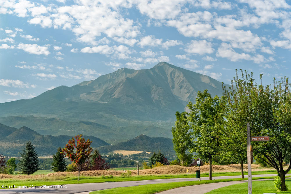 311 Crystal Canyon Drive Carbondale CO 81623