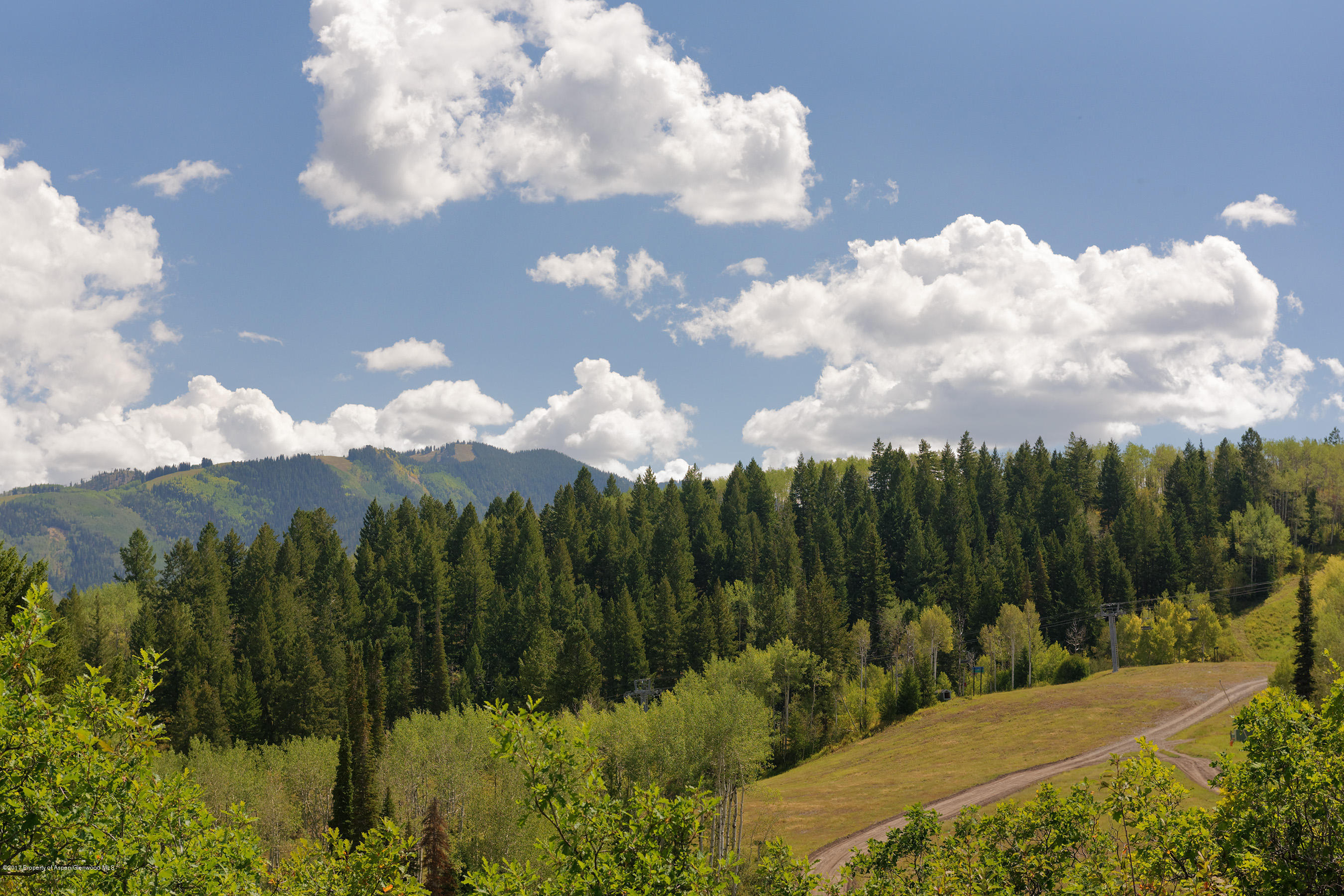 400 Eagle Pines Drive Aspen CO 81611