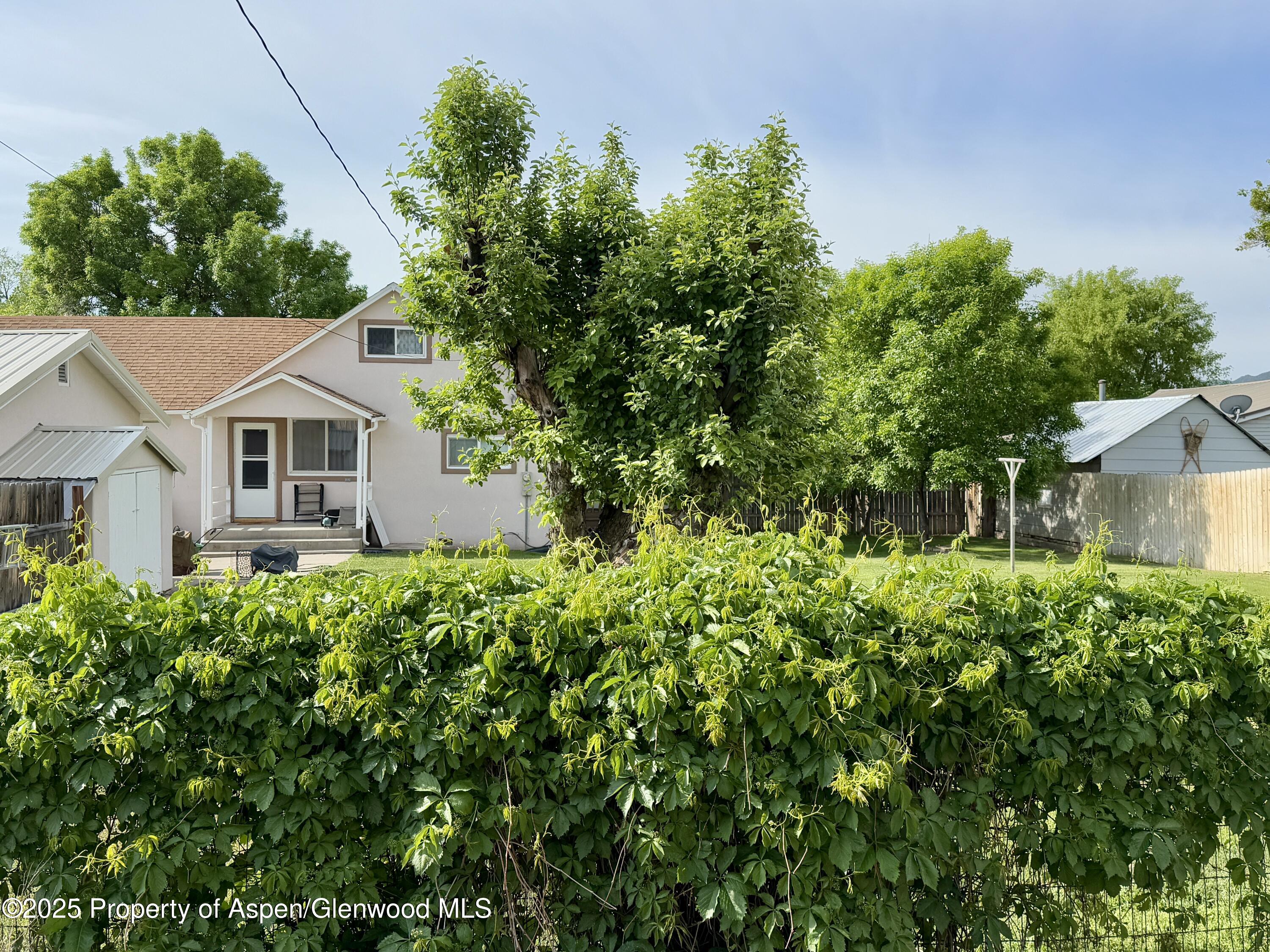 1217 Main Street Meeker CO 81641