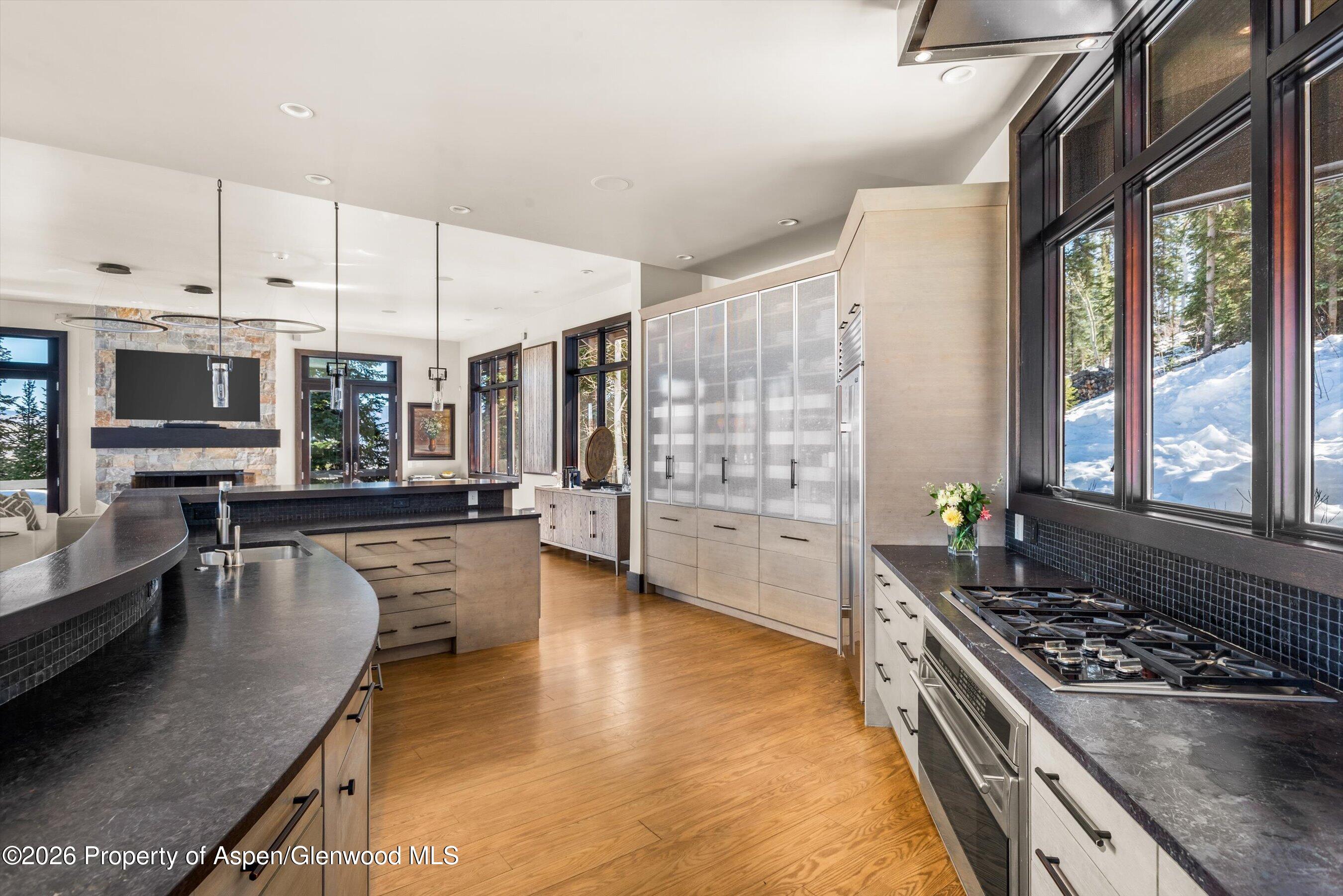 32 Elk Ridge Lane Snowmass Village CO 81615